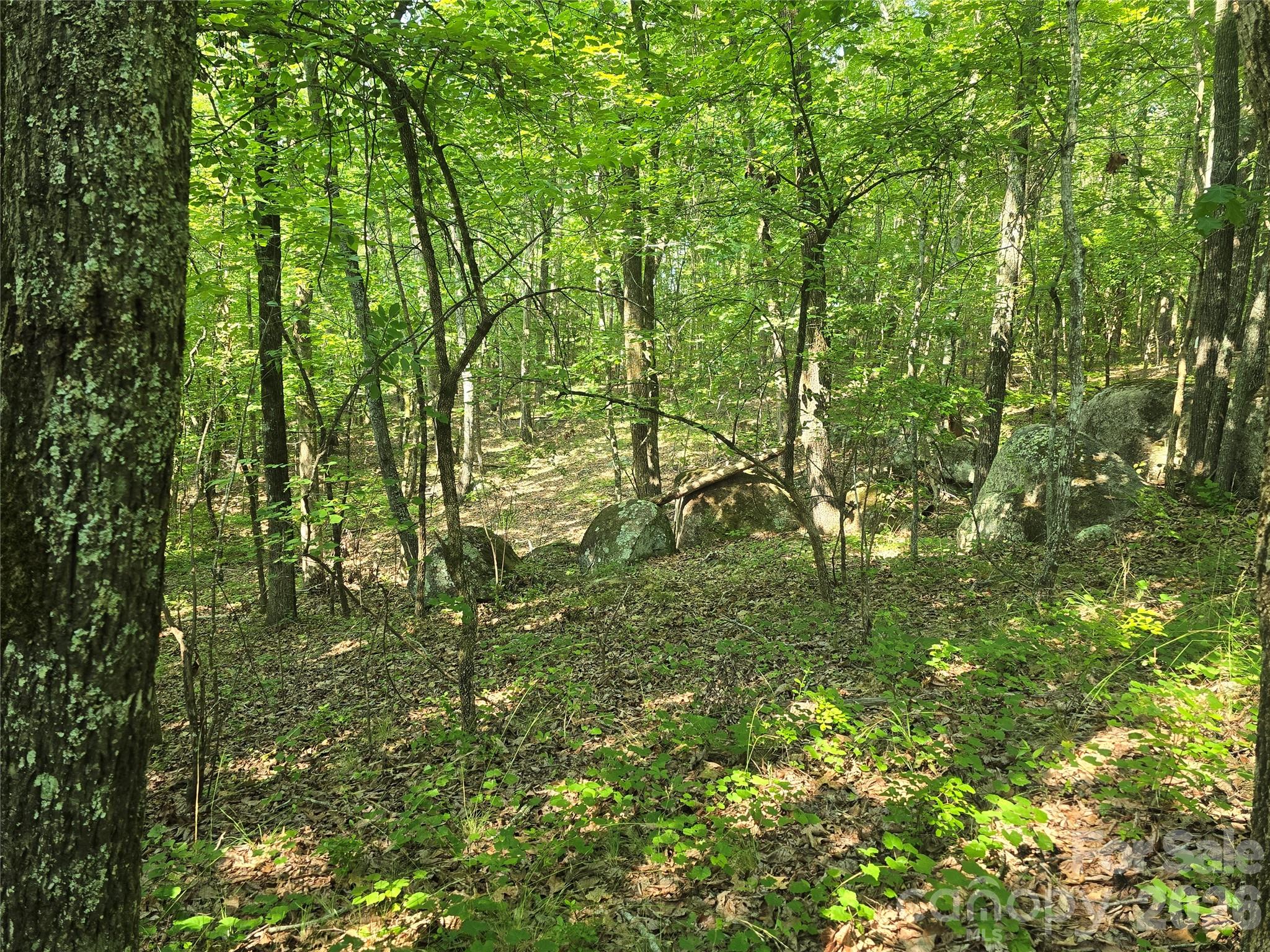 Acreage at 00 Hoke Road, Heath Springs, photo 4 of 7