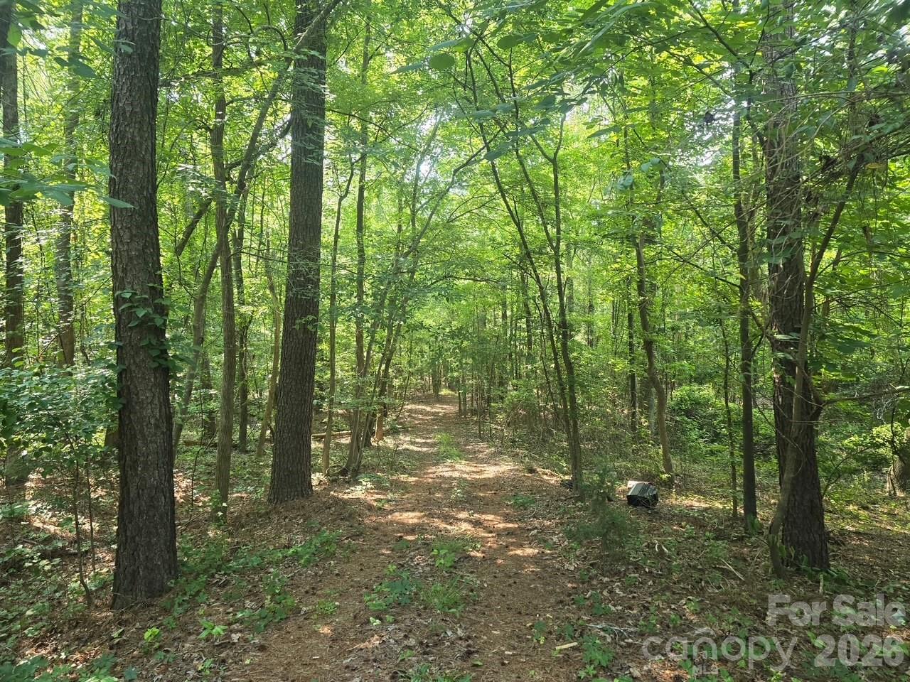 Acreage at 00 Hoke Road, Heath Springs, photo 5 of 7