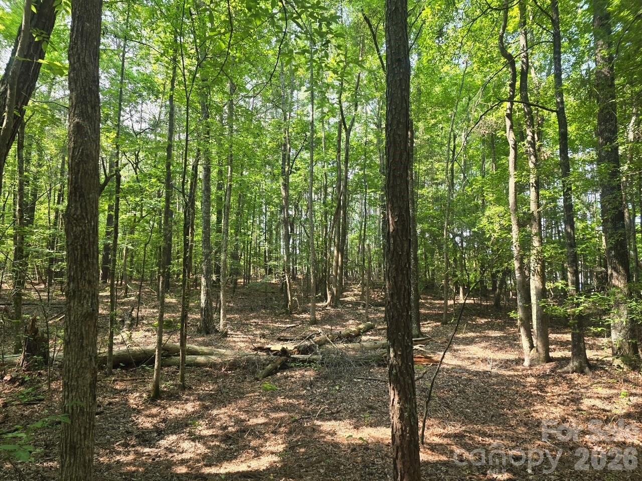 Acreage at 00 Hoke Road, Heath Springs, photo 7 of 7