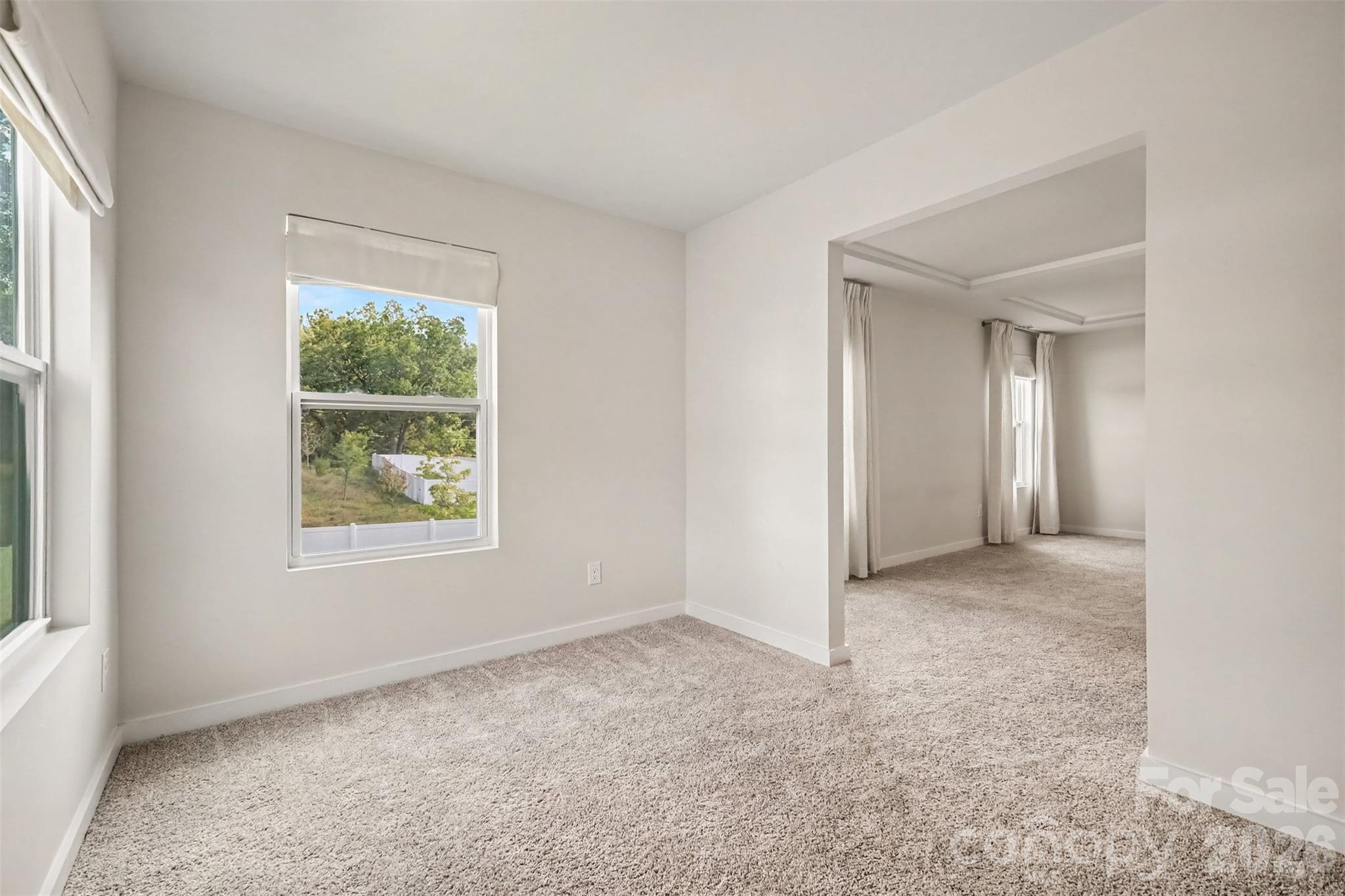 Single Family Residence at 14107 Belmont Greene Drive, Charlotte, photo 29 of 47