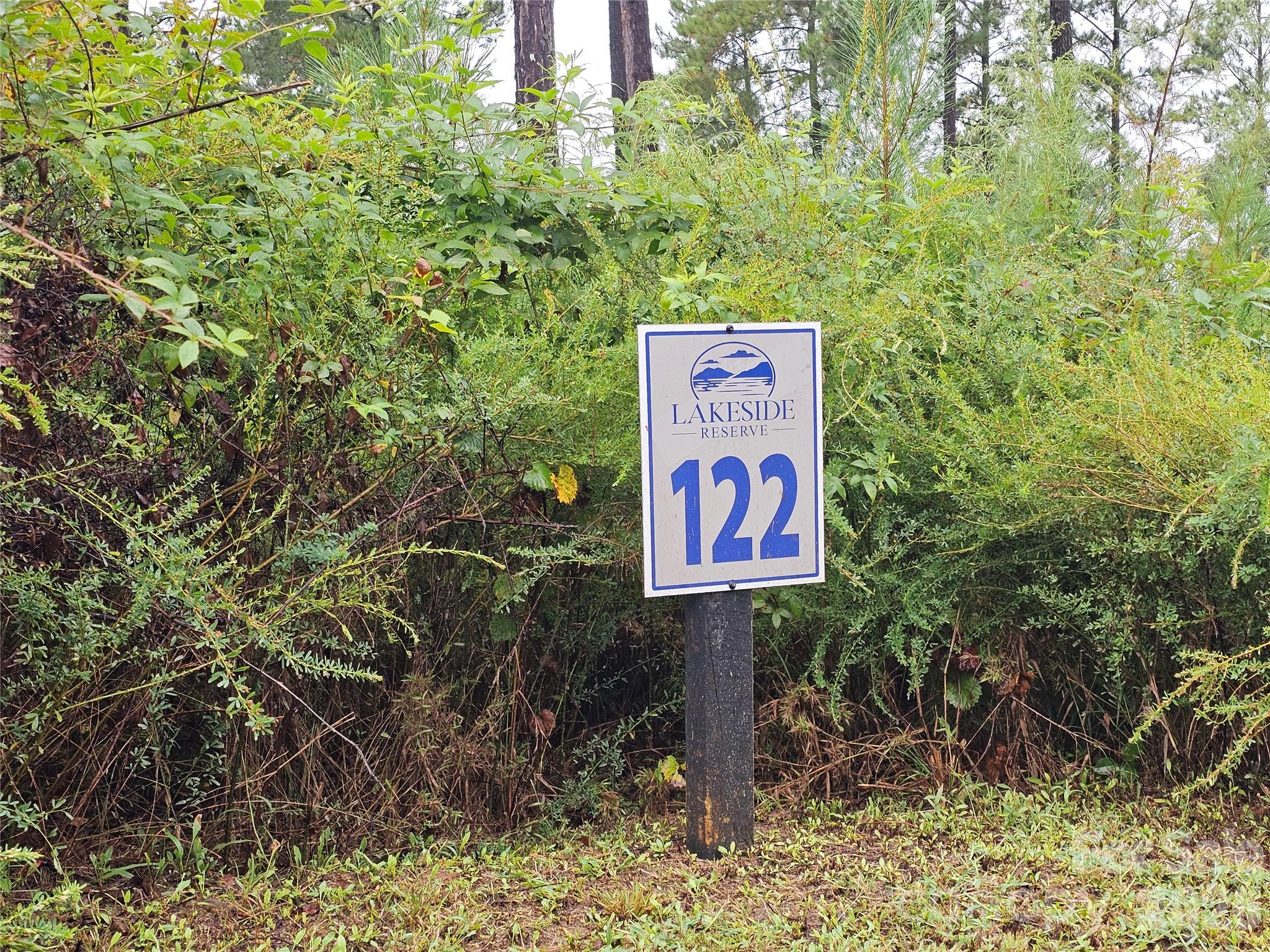 Lot at 2071 Ellingwood Point, Connelly Springs, photo 5 of 46