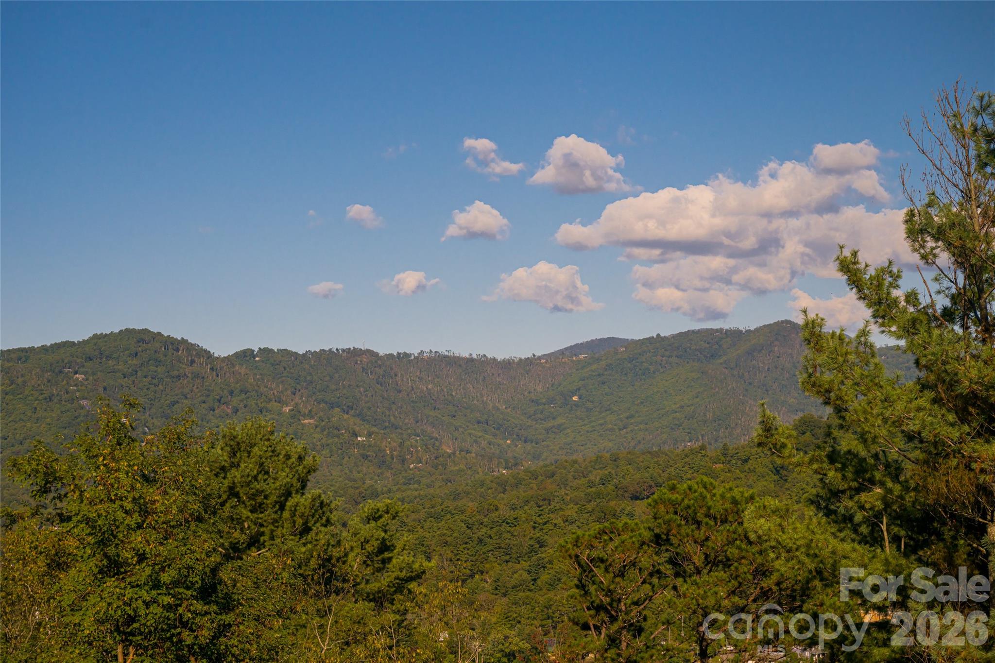 Views - 79 Horizon Hill Road, Asheville