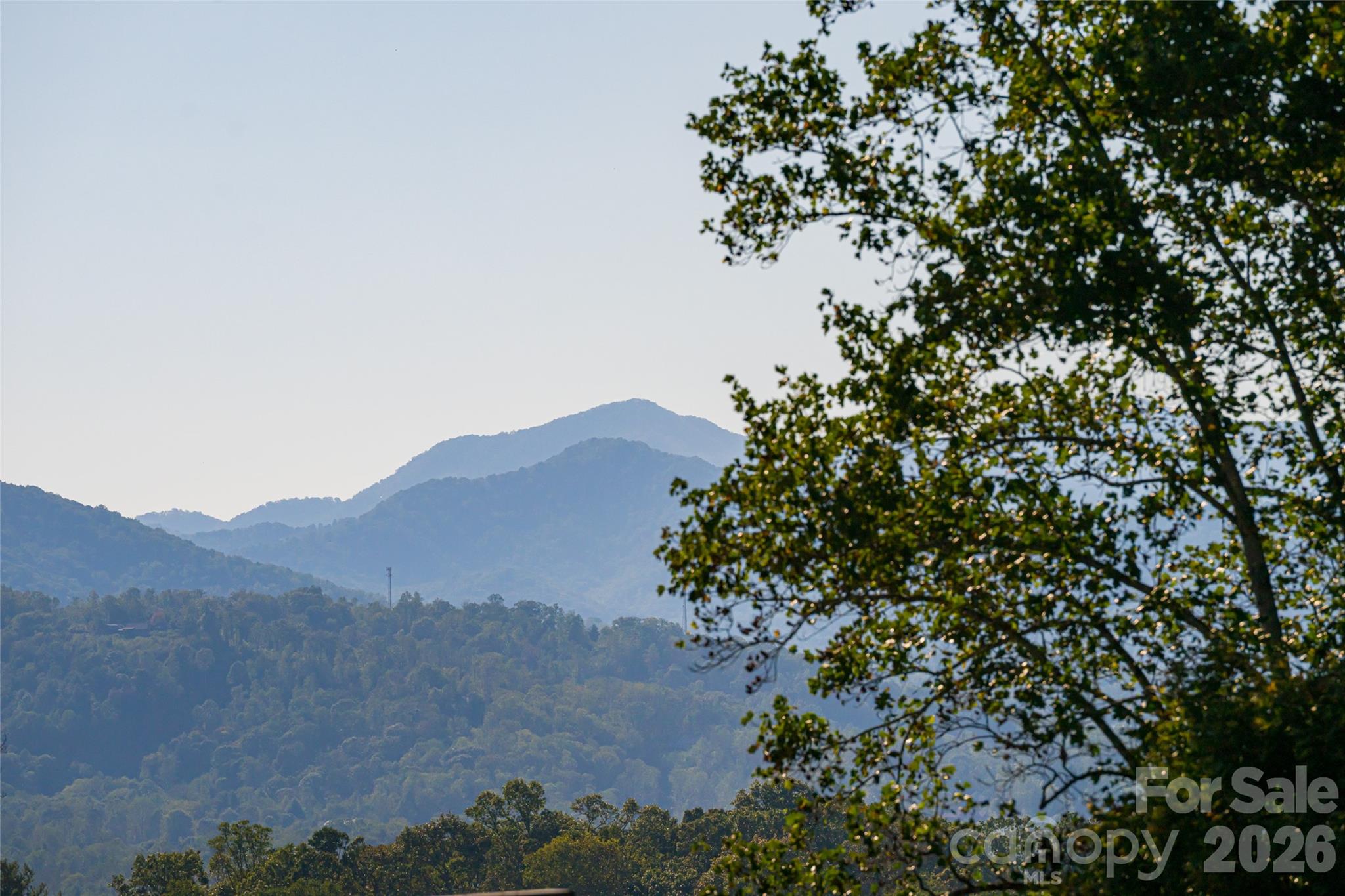 View from entryway - 79 Horizon Hill Road, Asheville