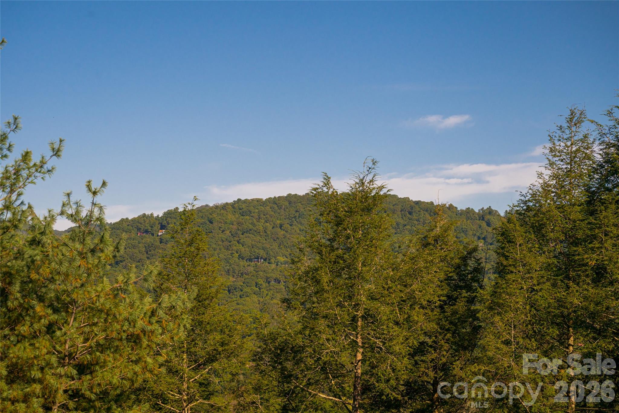 View North - 79 Horizon Hill Road, Asheville
