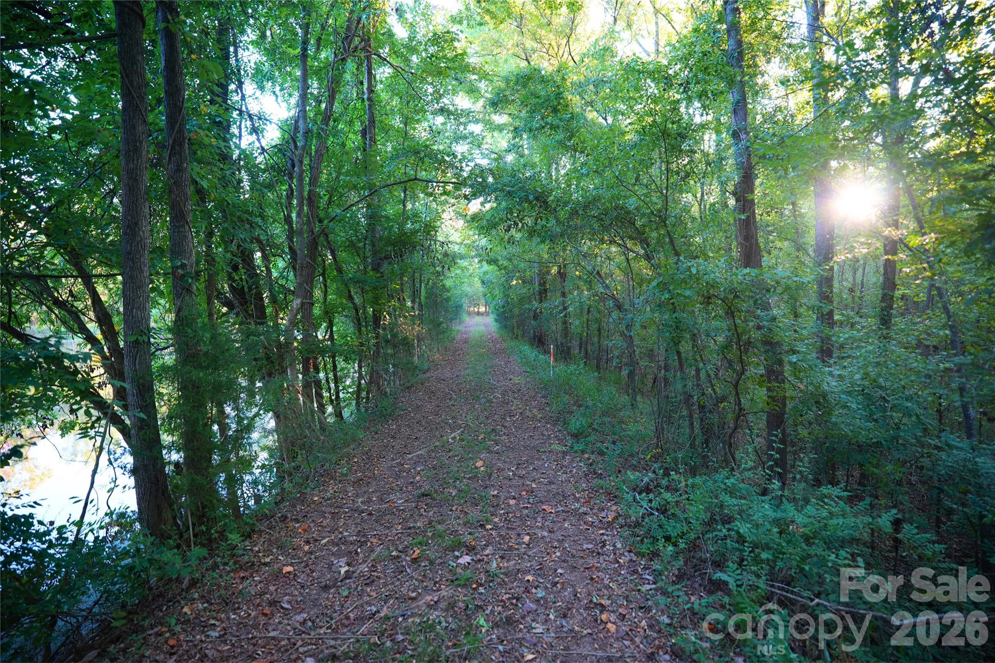 Acreage at 2233 Rodman Road, Chester, photo 7 of 45