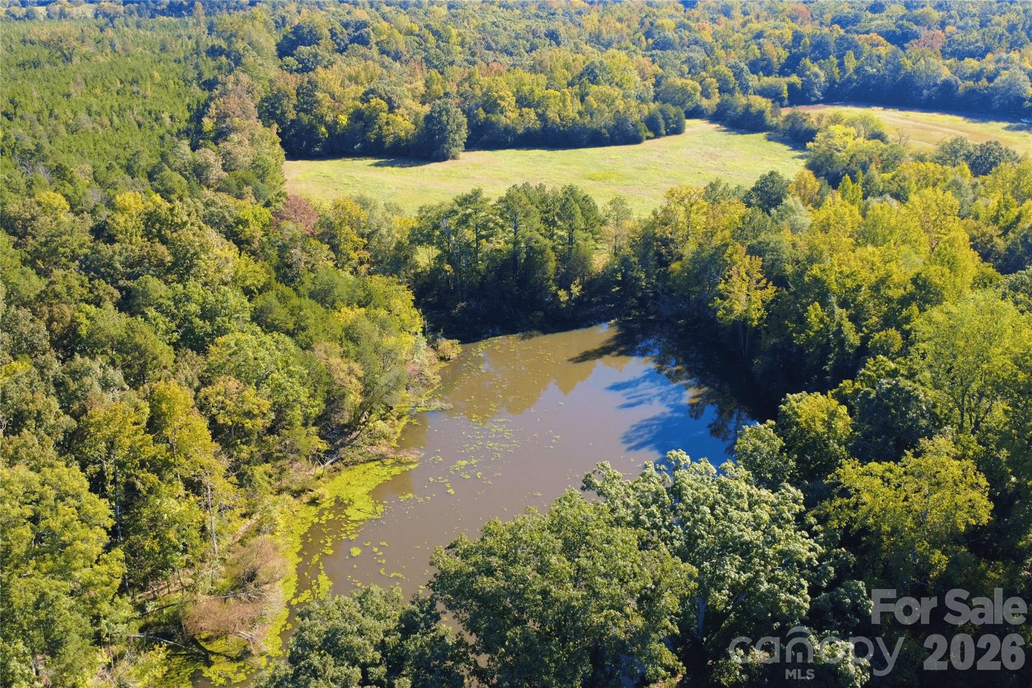Acreage at 2233 Rodman Road, Chester, photo 9 of 45