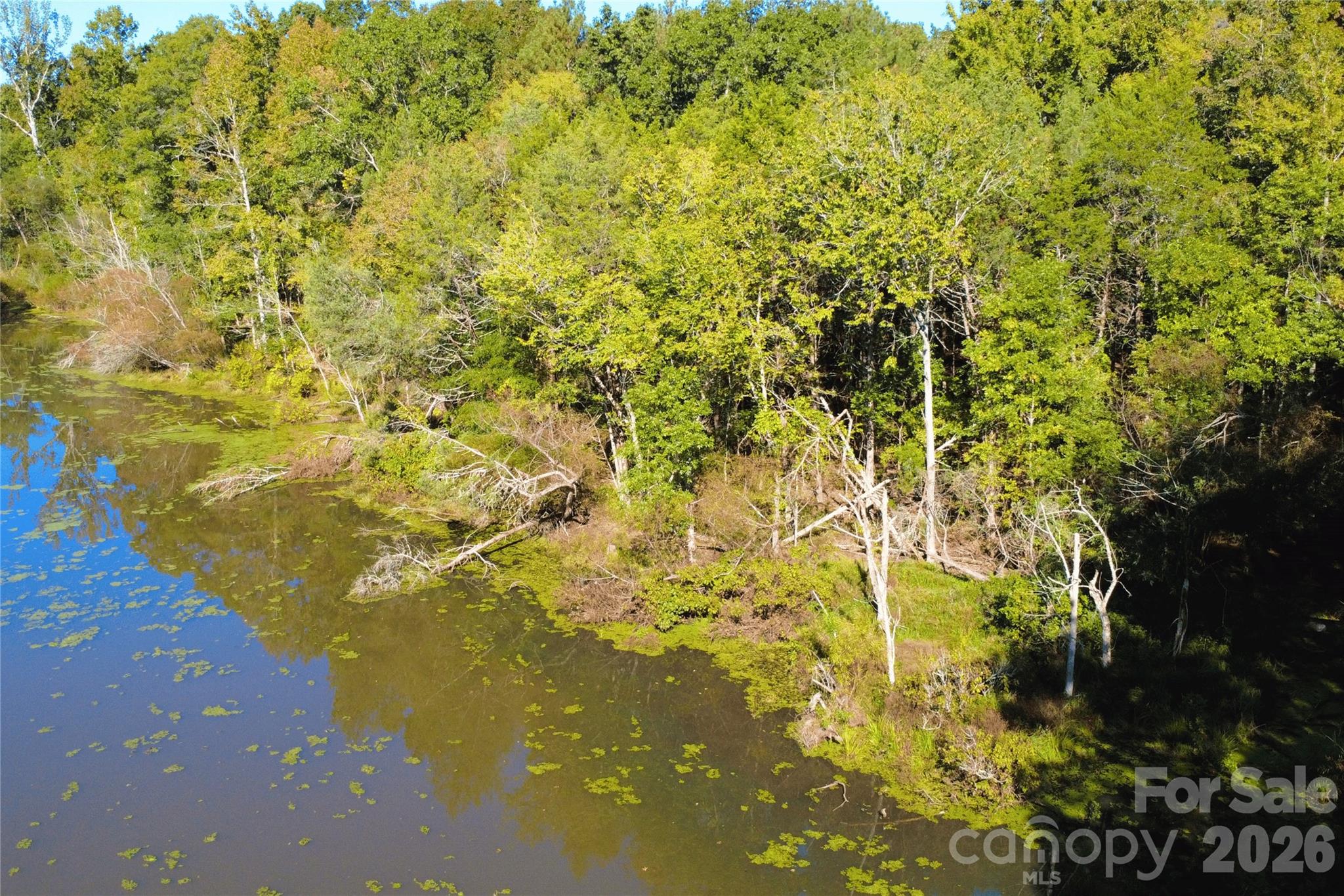Acreage at 2233 Rodman Road, Chester, photo 10 of 45