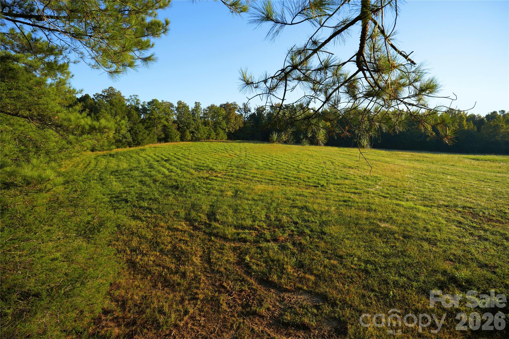 Acreage at 2233 Rodman Road, Chester, photo 11 of 45