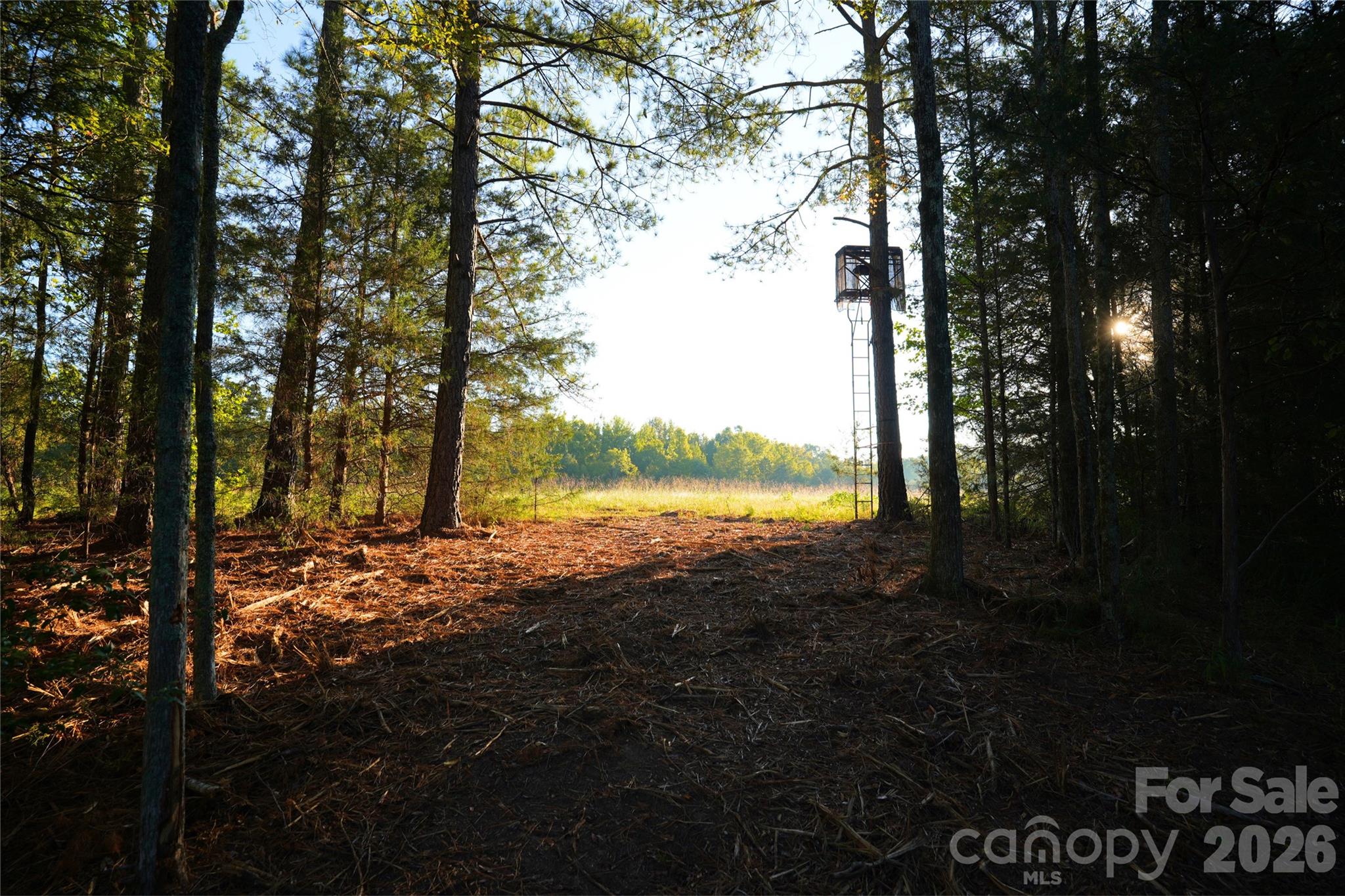 Acreage at 2233 Rodman Road, Chester, photo 13 of 45