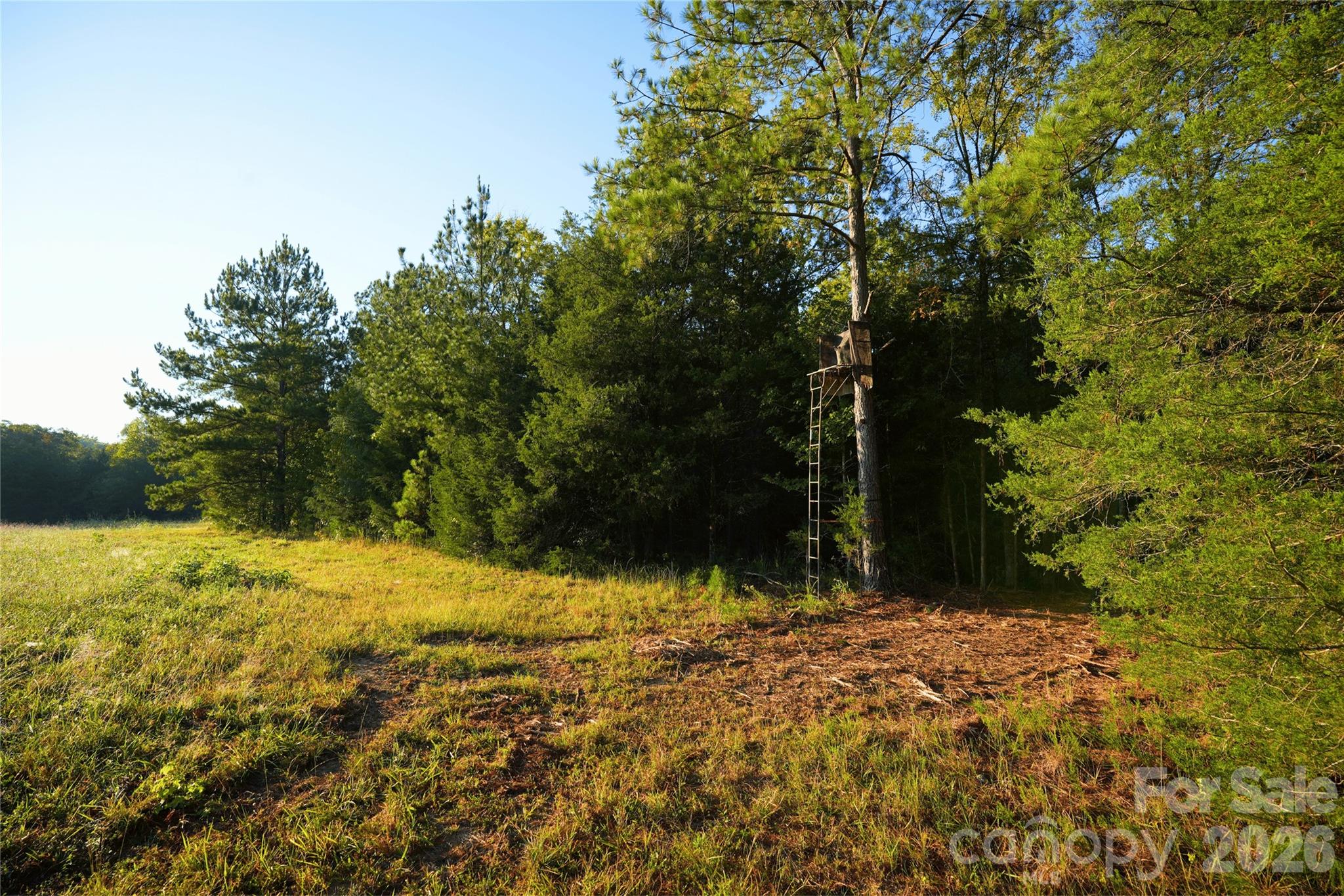 Acreage at 2233 Rodman Road, Chester, photo 14 of 45