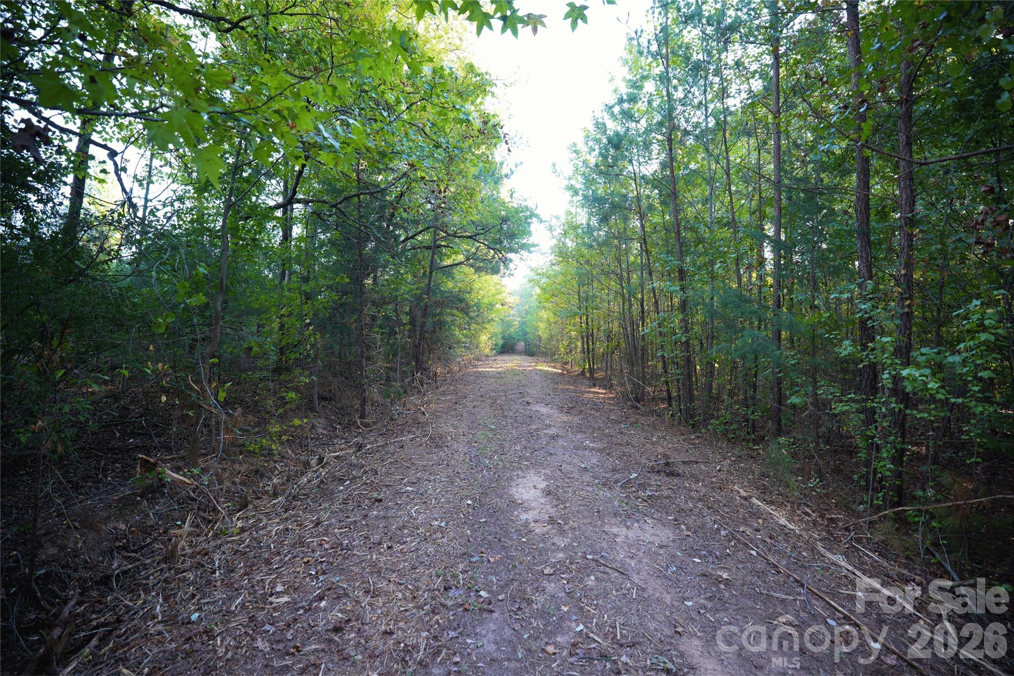 Acreage at 2233 Rodman Road, Chester, photo 17 of 45