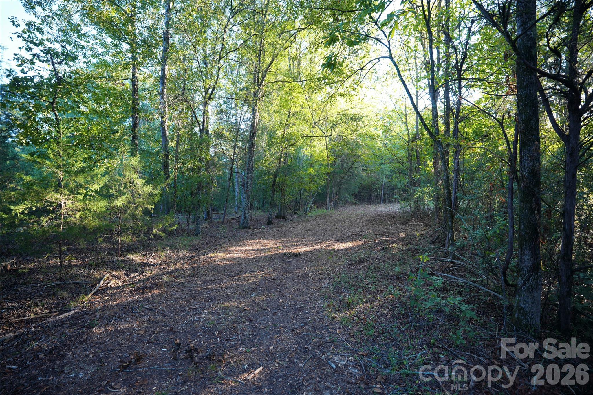 Acreage at 2233 Rodman Road, Chester, photo 19 of 45
