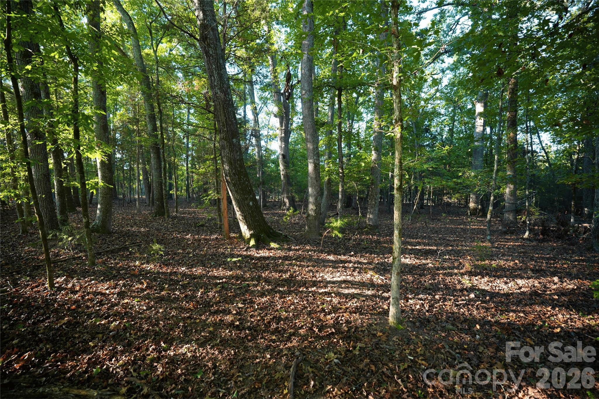 Acreage at 2233 Rodman Road, Chester, photo 20 of 45