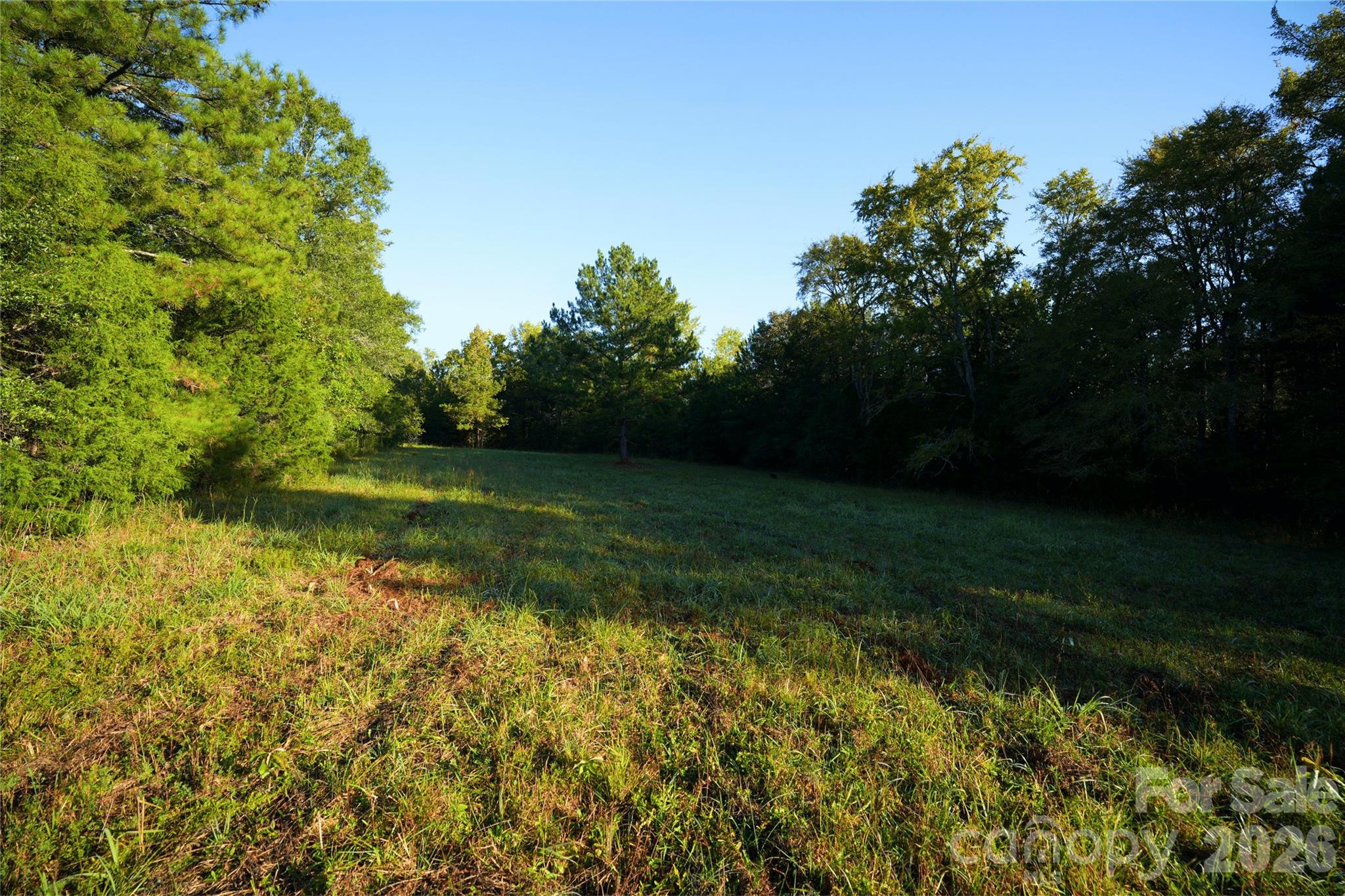 Acreage at 2233 Rodman Road, Chester, photo 21 of 45