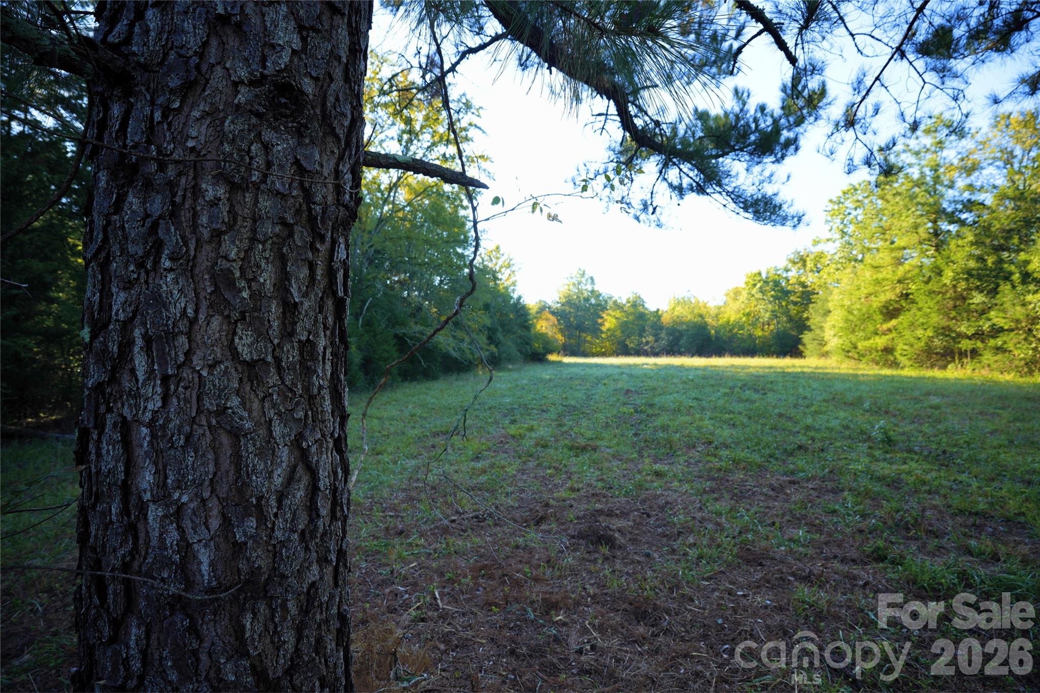 Acreage at 2233 Rodman Road, Chester, photo 22 of 45