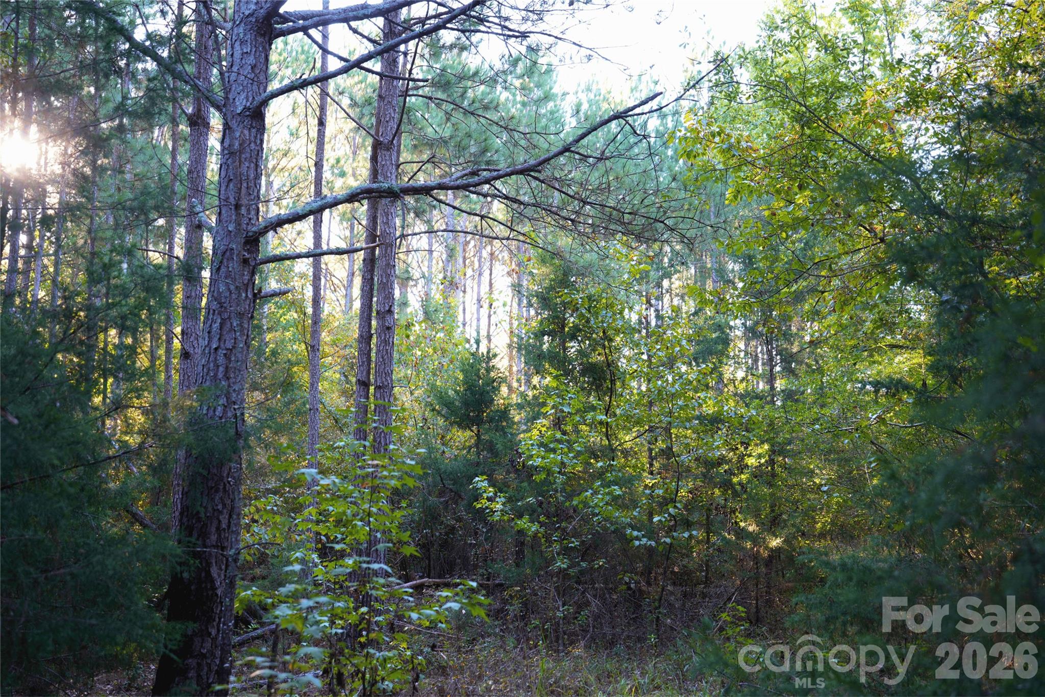 Acreage at 2233 Rodman Road, Chester, photo 24 of 45
