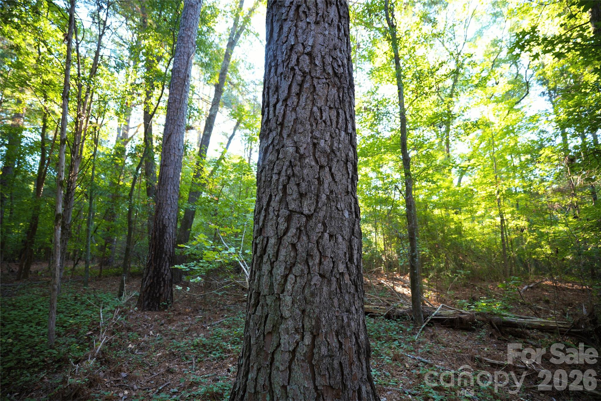 Acreage at 2233 Rodman Road, Chester, photo 29 of 45