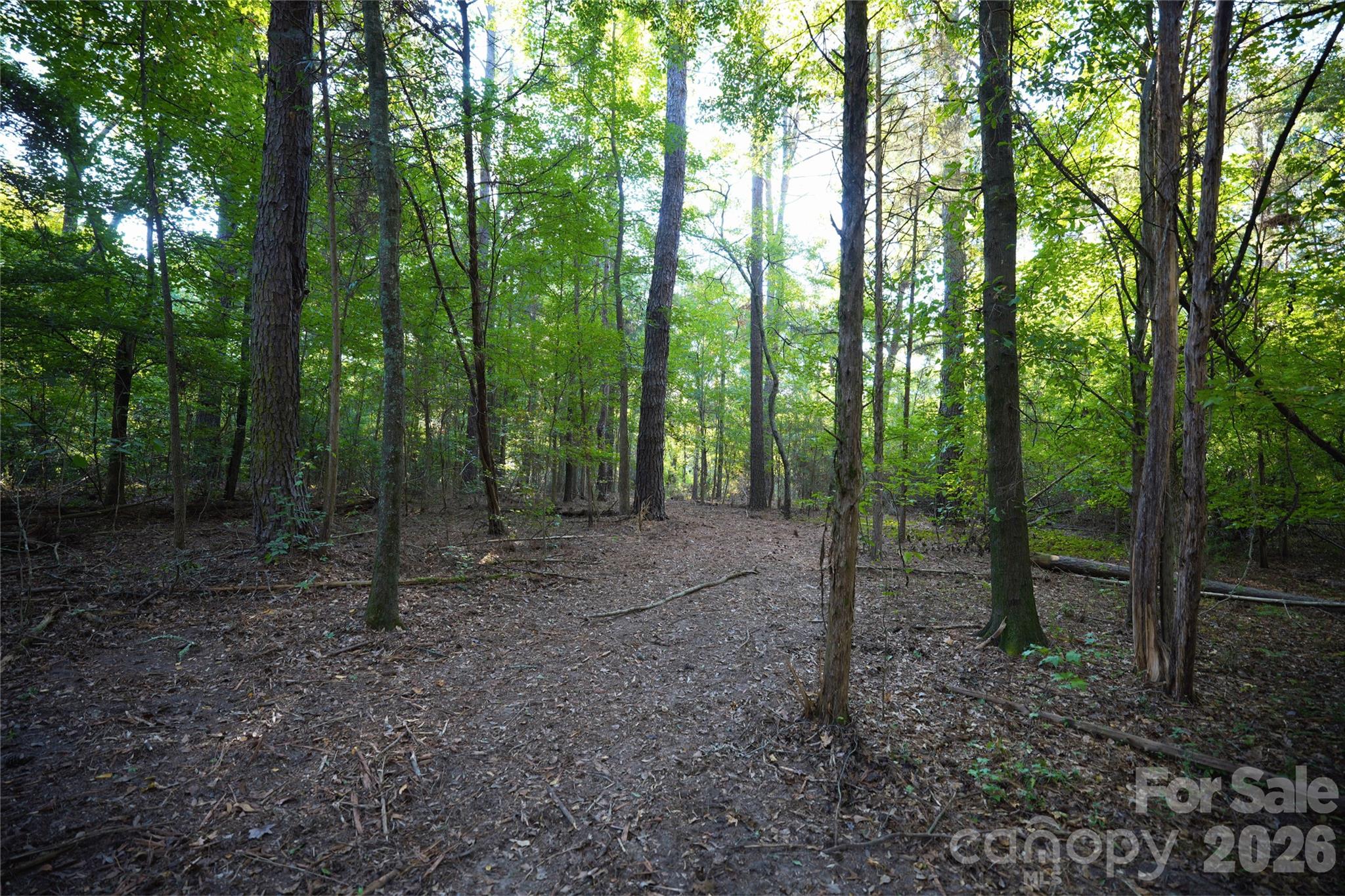 Acreage at 2233 Rodman Road, Chester, photo 30 of 45