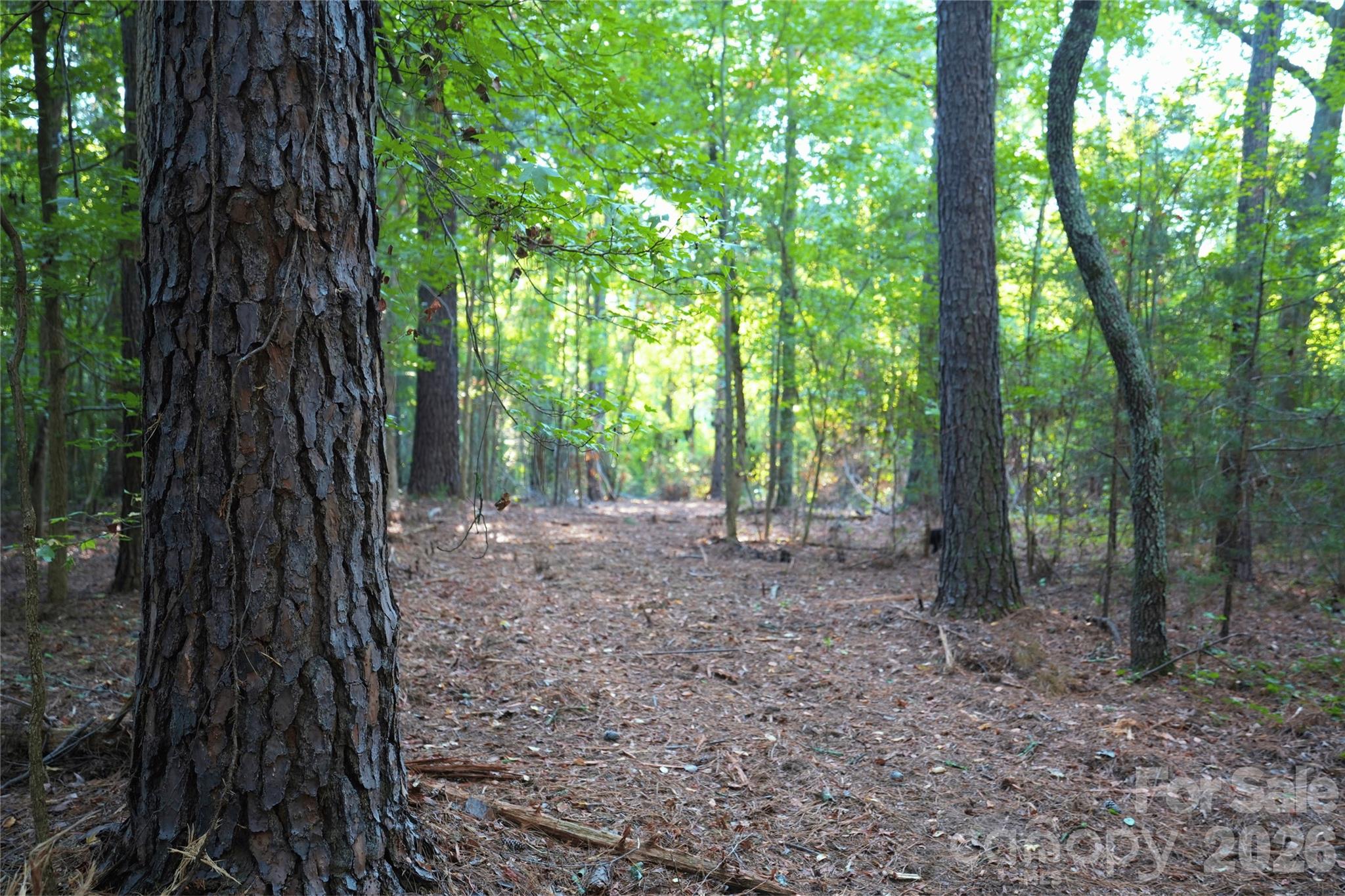 Acreage at 2233 Rodman Road, Chester, photo 31 of 45