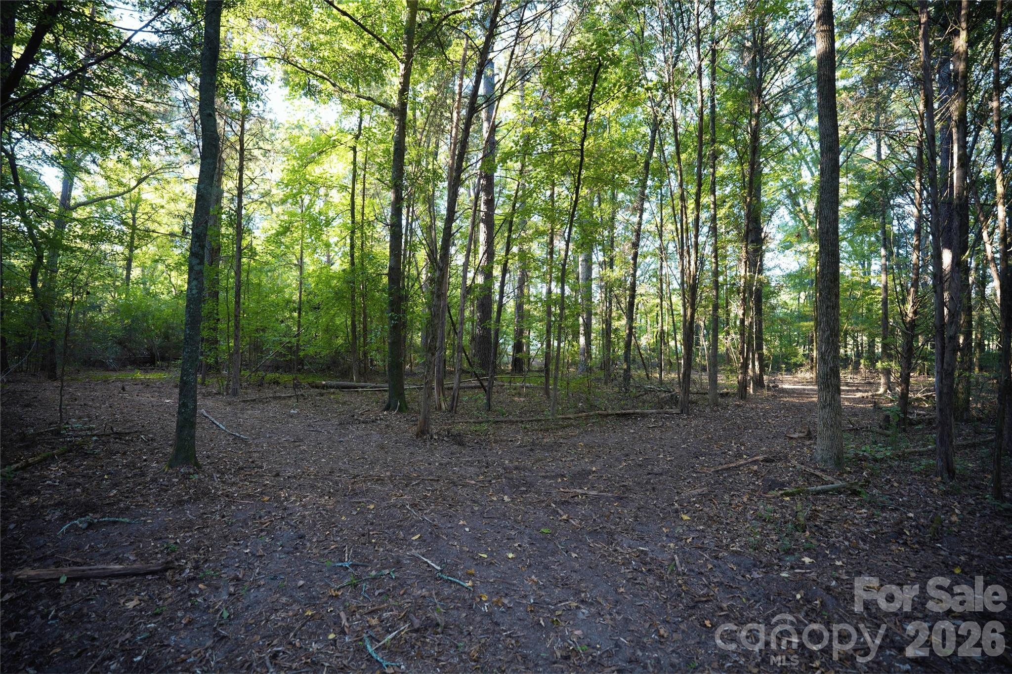 Acreage at 2233 Rodman Road, Chester, photo 32 of 45