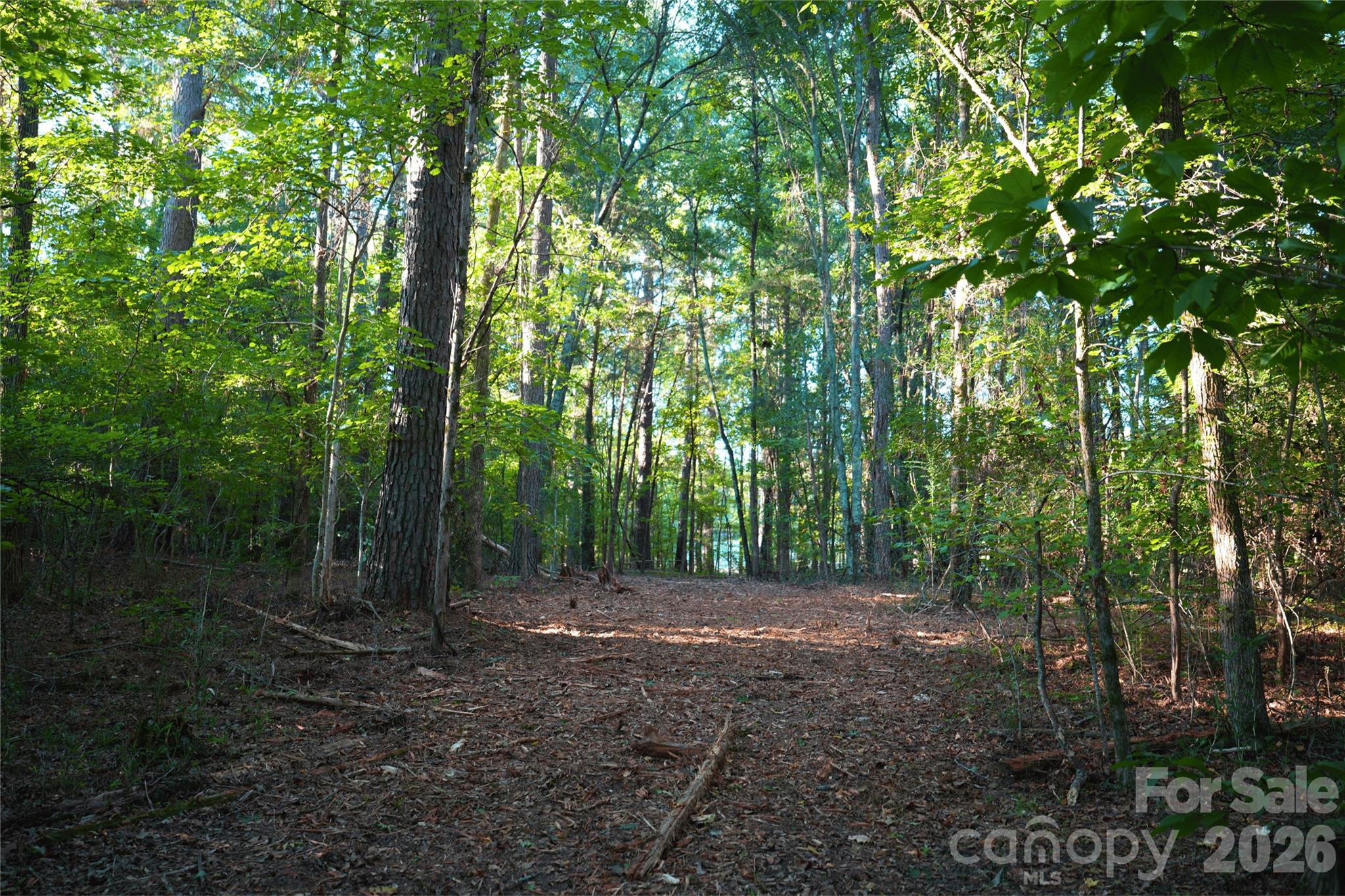 Acreage at 2233 Rodman Road, Chester, photo 33 of 45