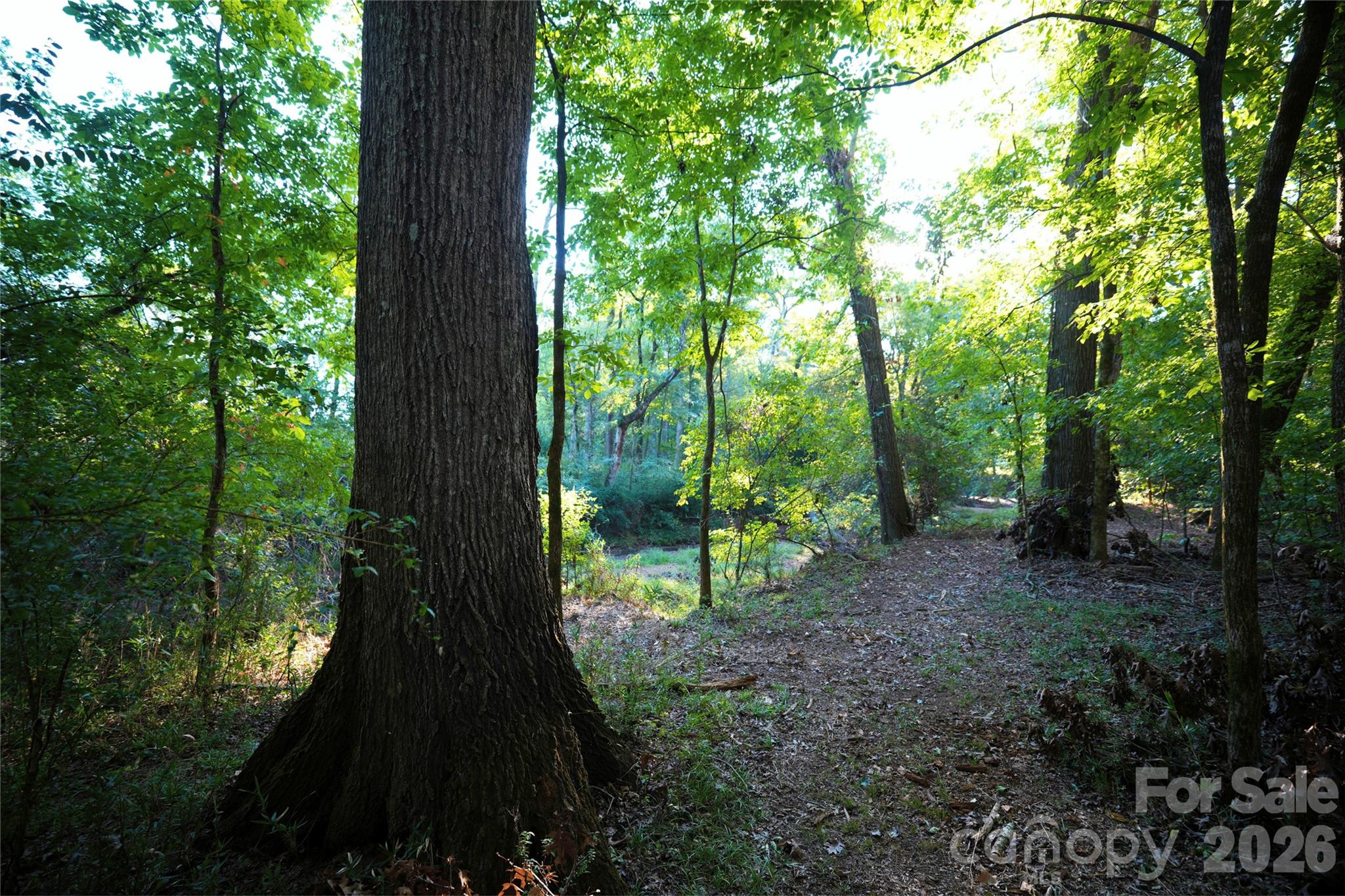 Acreage at 2233 Rodman Road, Chester, photo 34 of 45