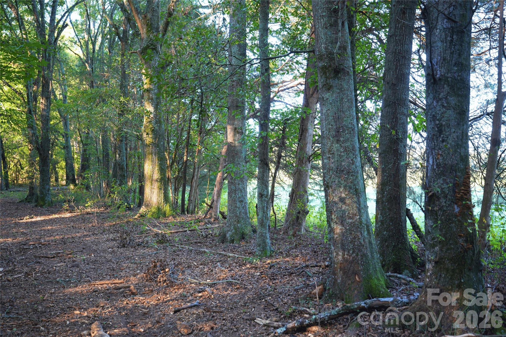 Acreage at 2233 Rodman Road, Chester, photo 39 of 45
