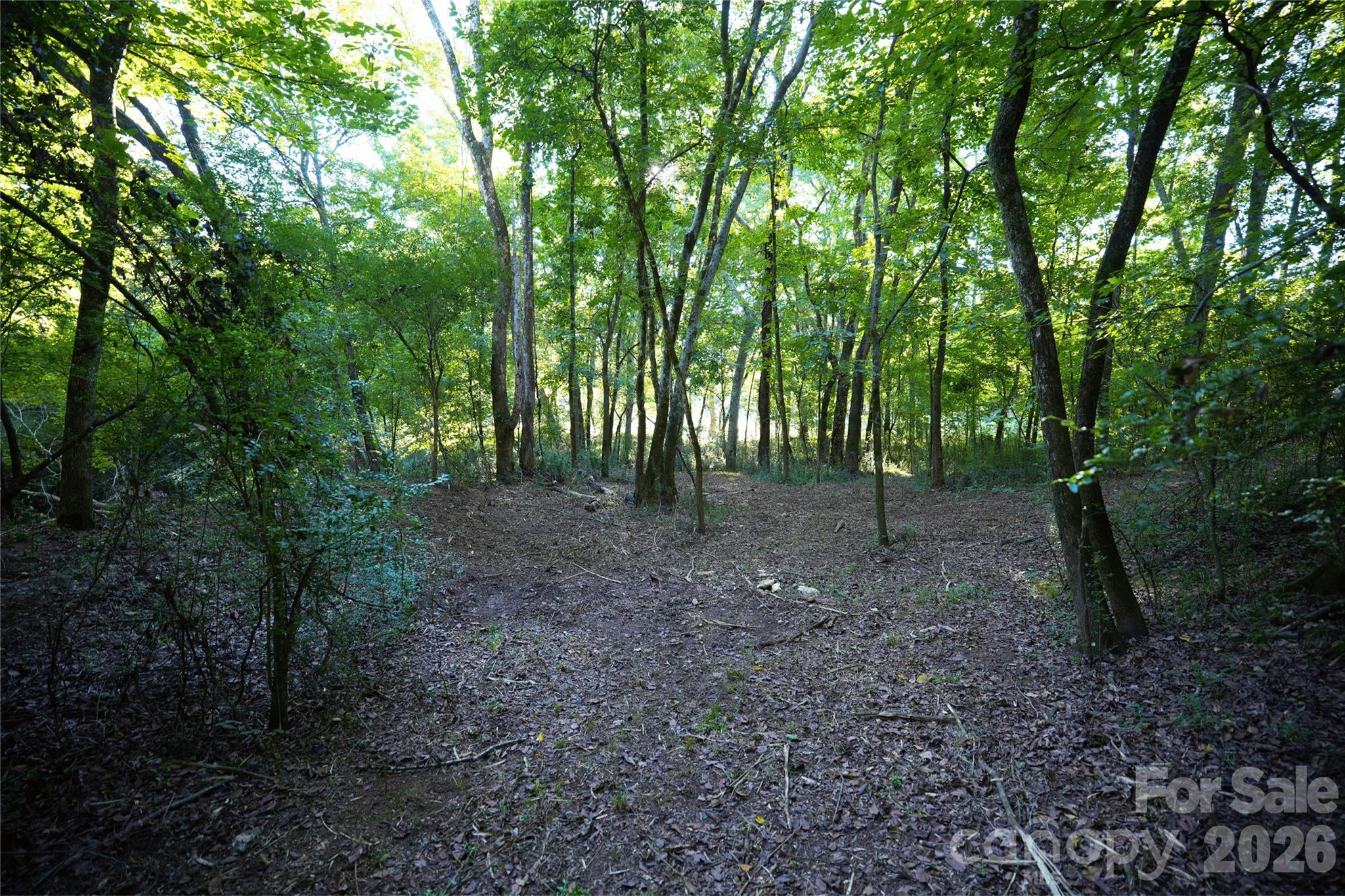 Acreage at 2233 Rodman Road, Chester, photo 40 of 45