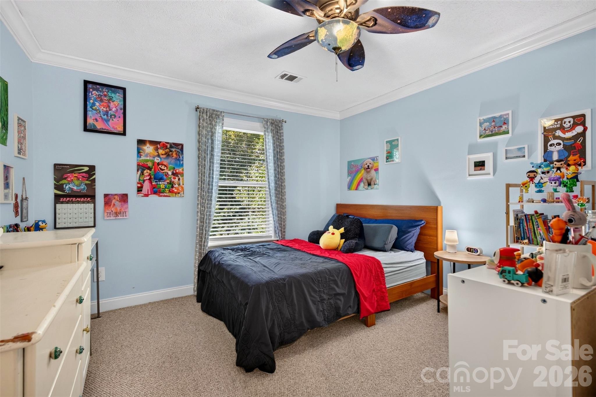 Single Family Residence at 9 Gollum Drive, Fairview, photo 19 of 37