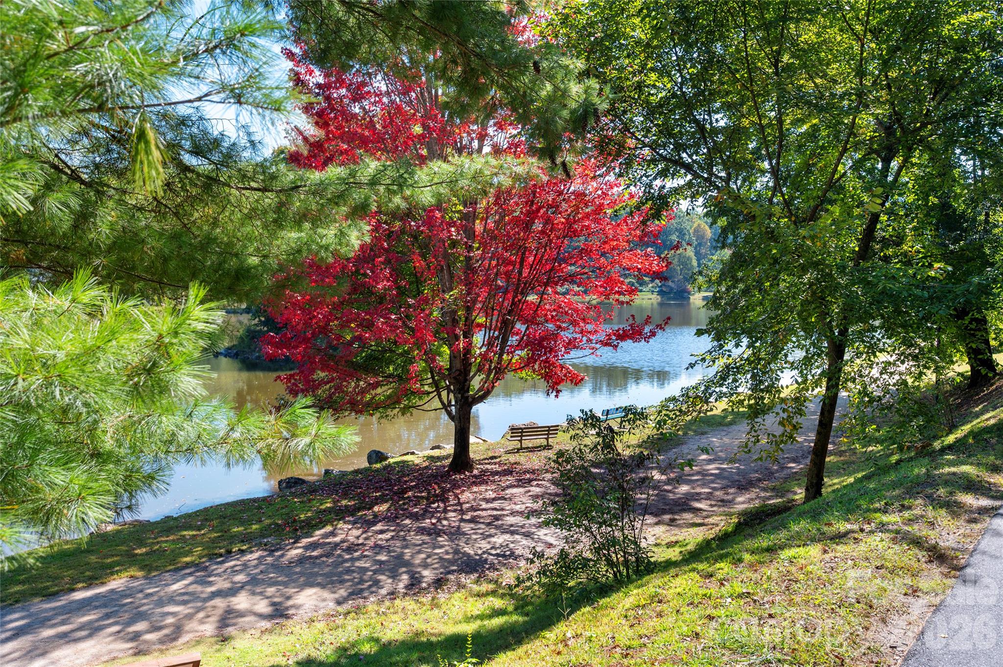 Lake Tomahawk Park walking trail around lake - 112 Rhododendron Avenue, Black Mountain