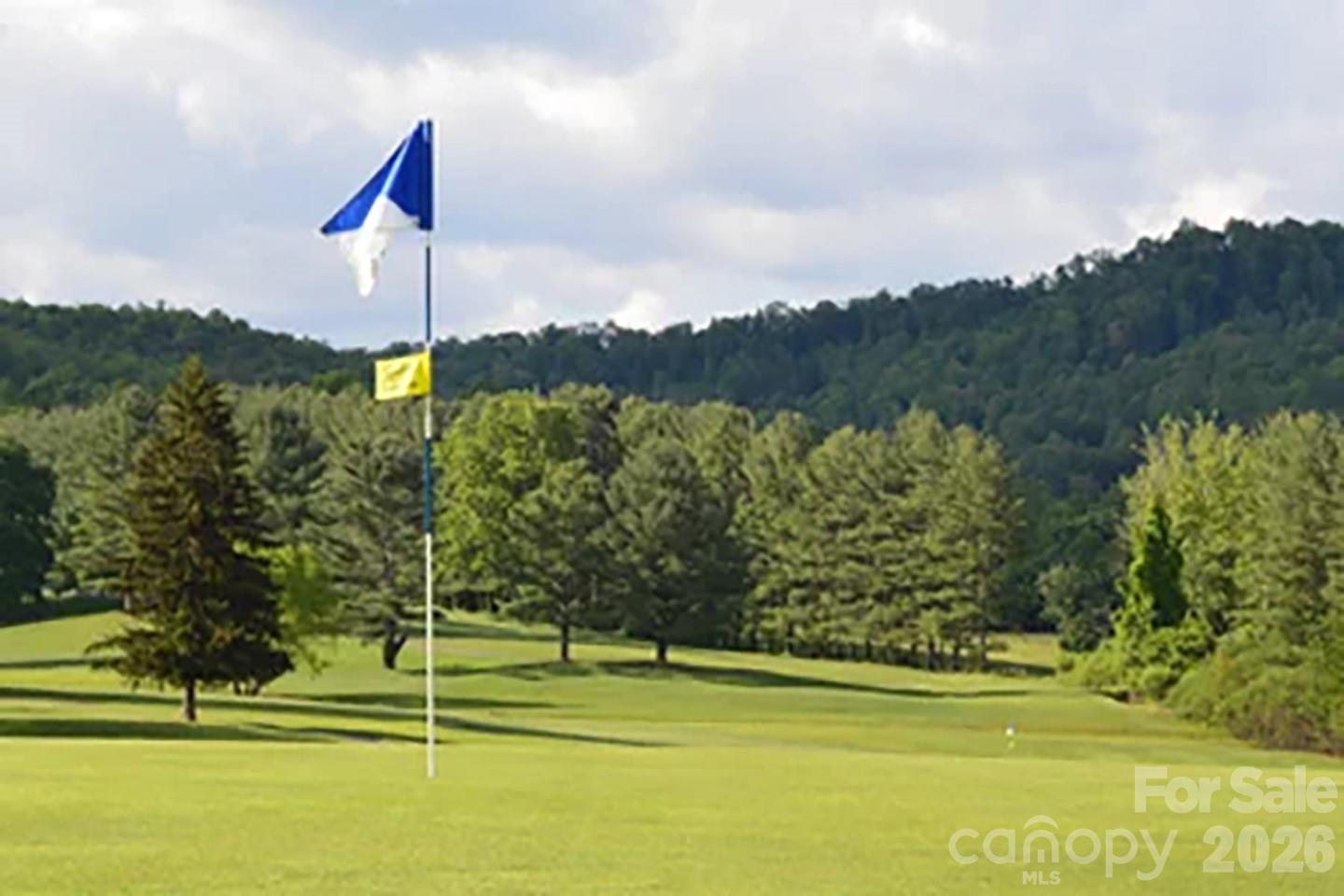 The famous hole #17, a 750 yard par 6! - 112 Rhododendron Avenue, Black Mountain