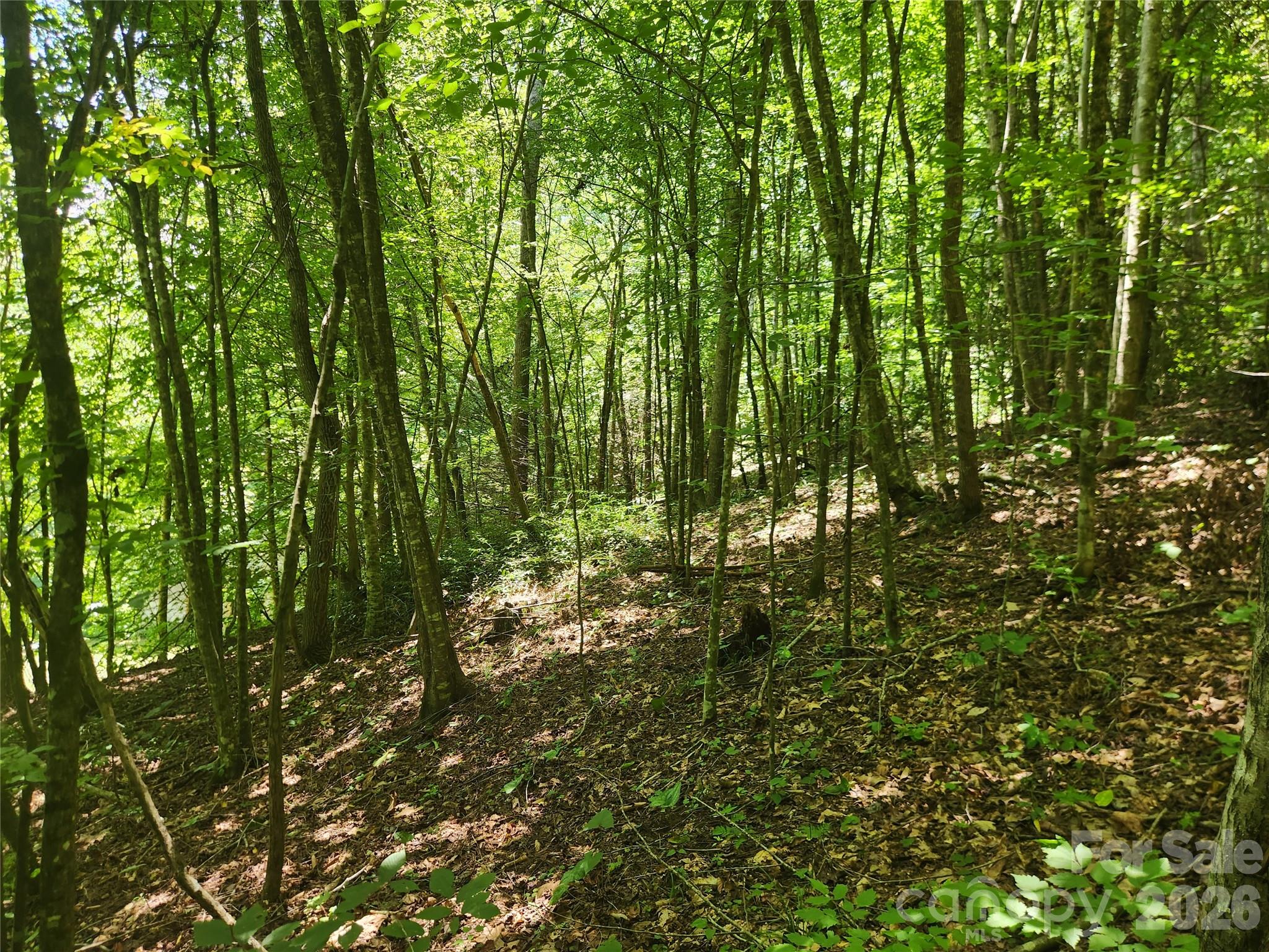 Acreage at 2003 Zacks Fork Road, Lenoir, photo 21 of 26