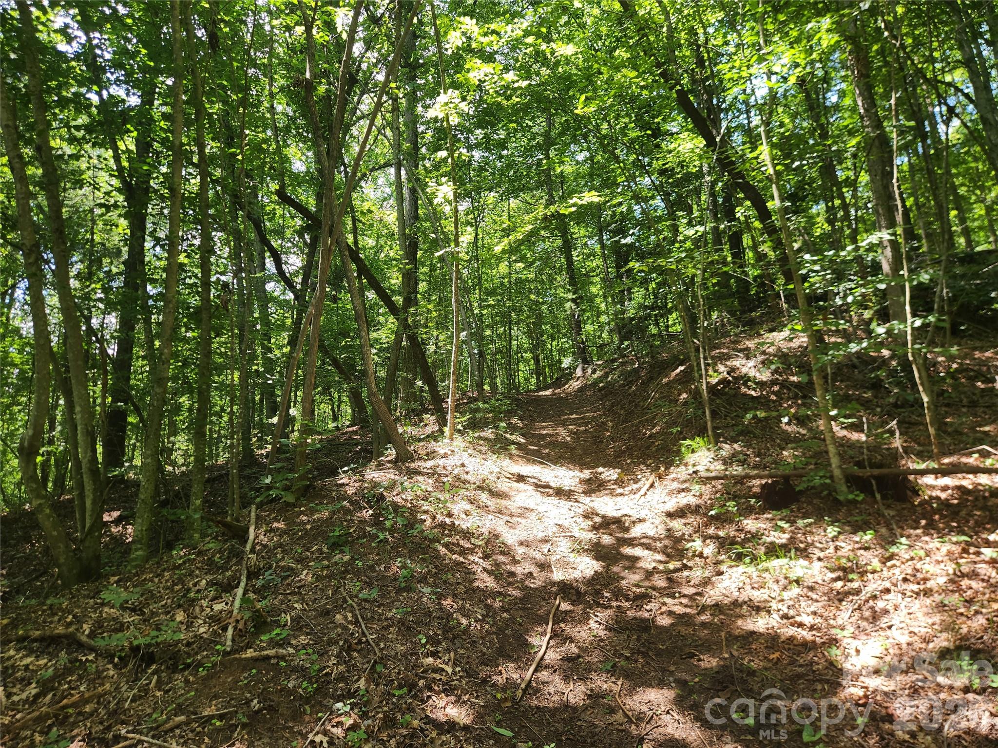 Acreage at 2003 Zacks Fork Road, Lenoir, photo 22 of 26