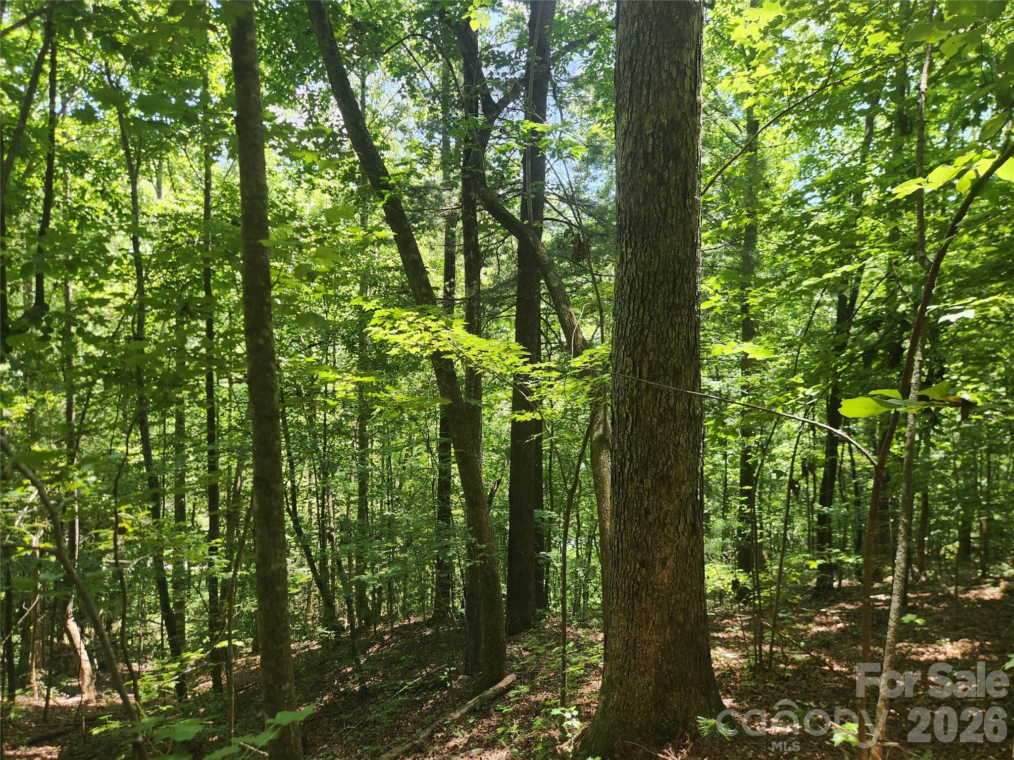 Acreage at 2003 Zacks Fork Road, Lenoir, photo 23 of 26