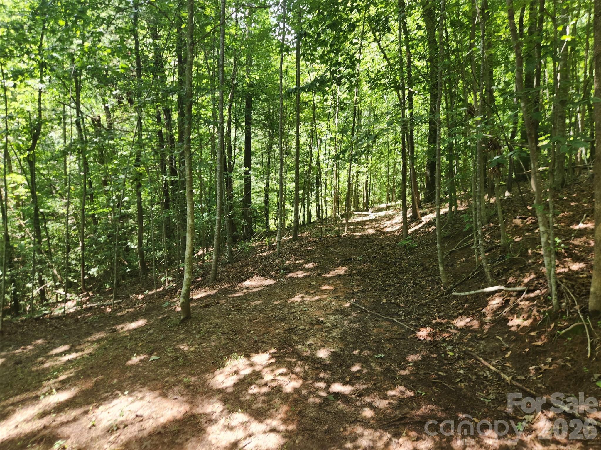Acreage at 2003 Zacks Fork Road, Lenoir, photo 25 of 26