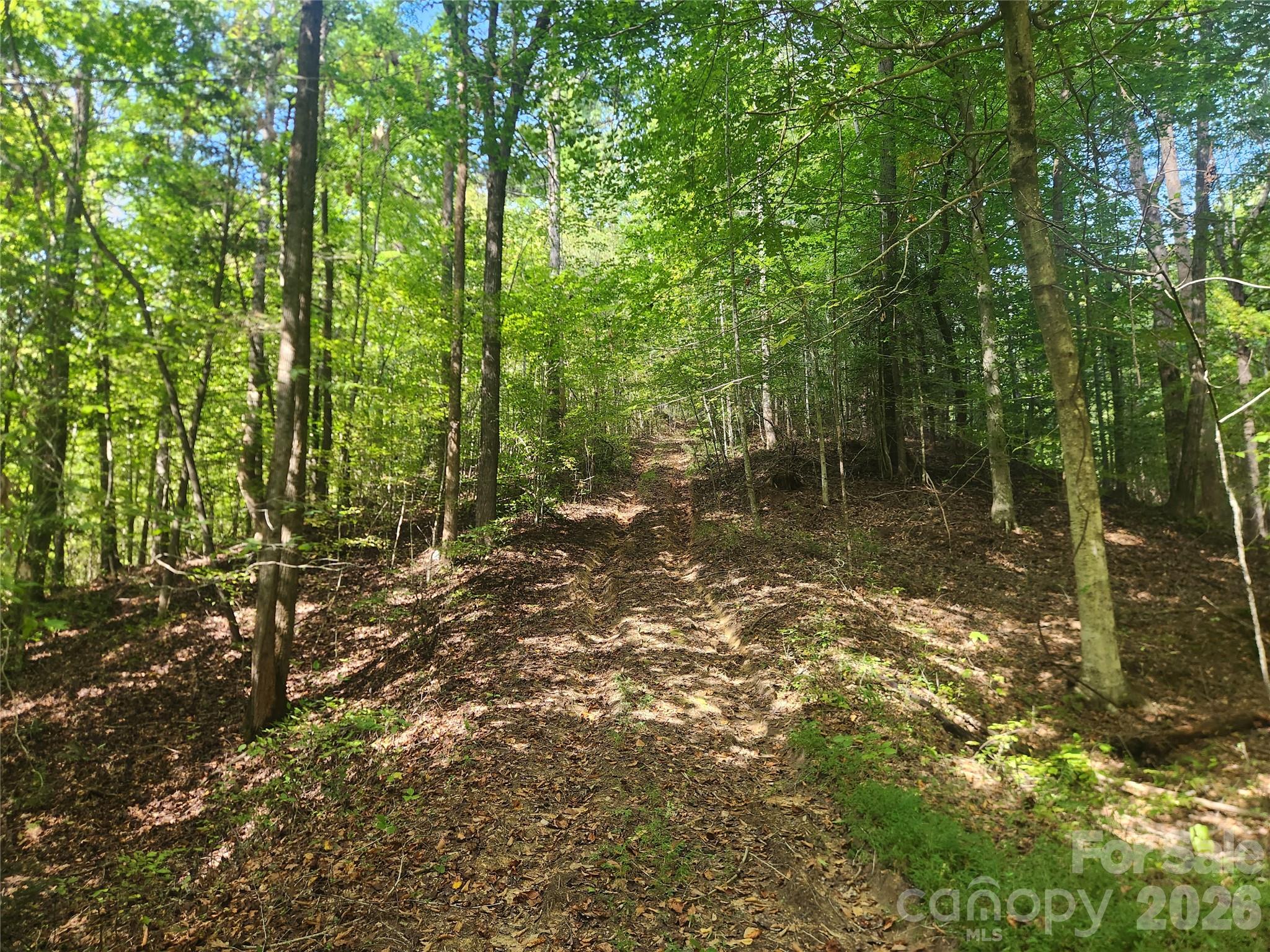 Acreage at 2500 Playmore Beach Road, Lenoir, photo 4 of 38