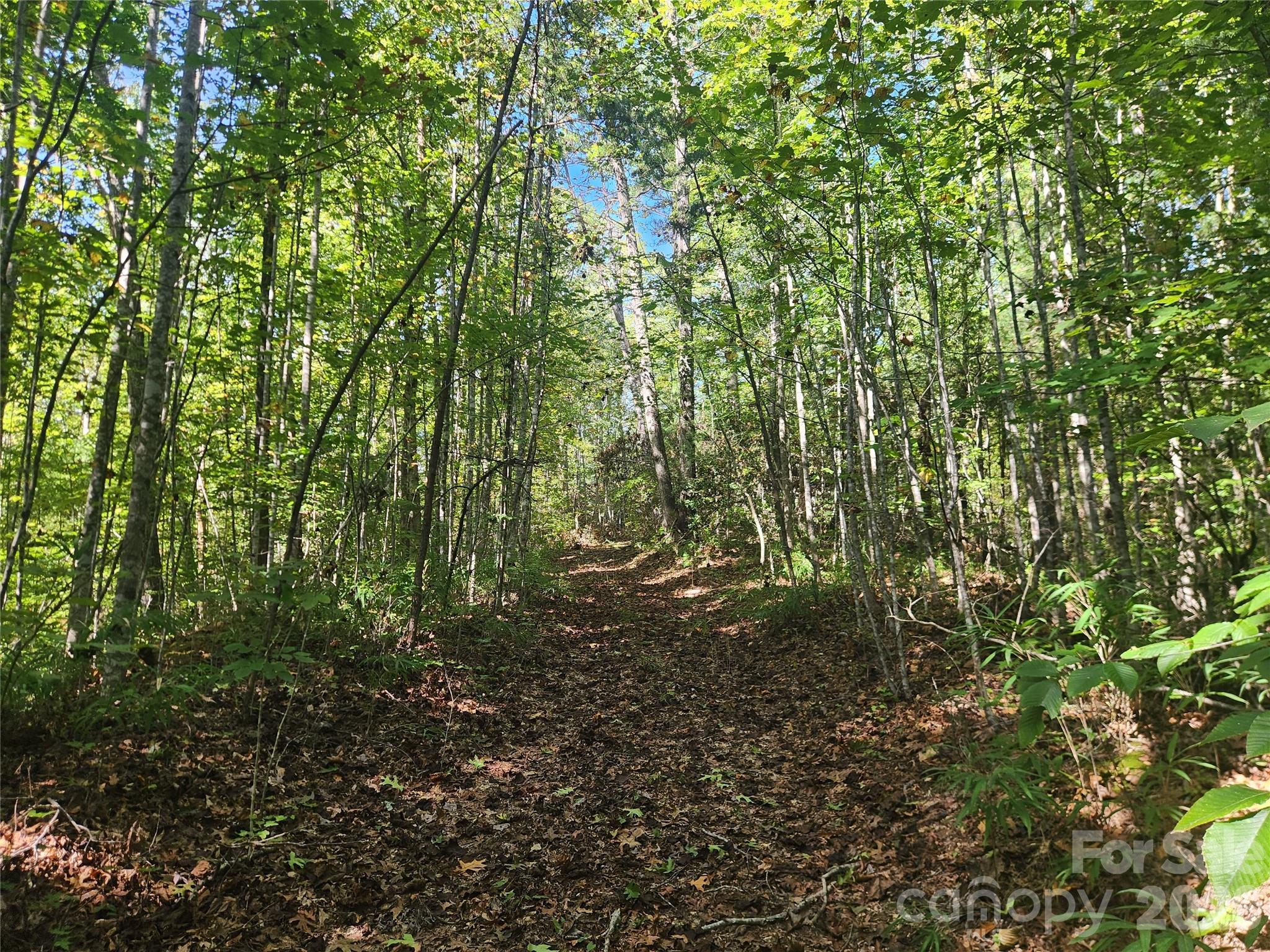 Acreage at 2500 Playmore Beach Road, Lenoir, photo 5 of 38