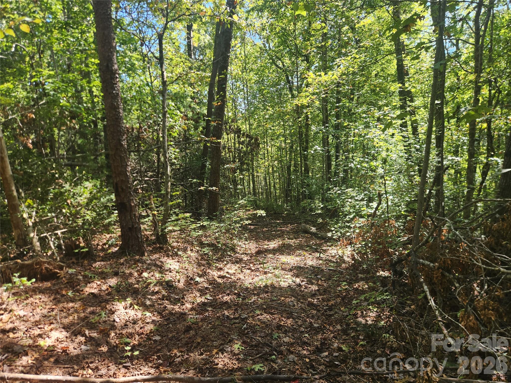 Acreage at 2500 Playmore Beach Road, Lenoir, photo 6 of 38