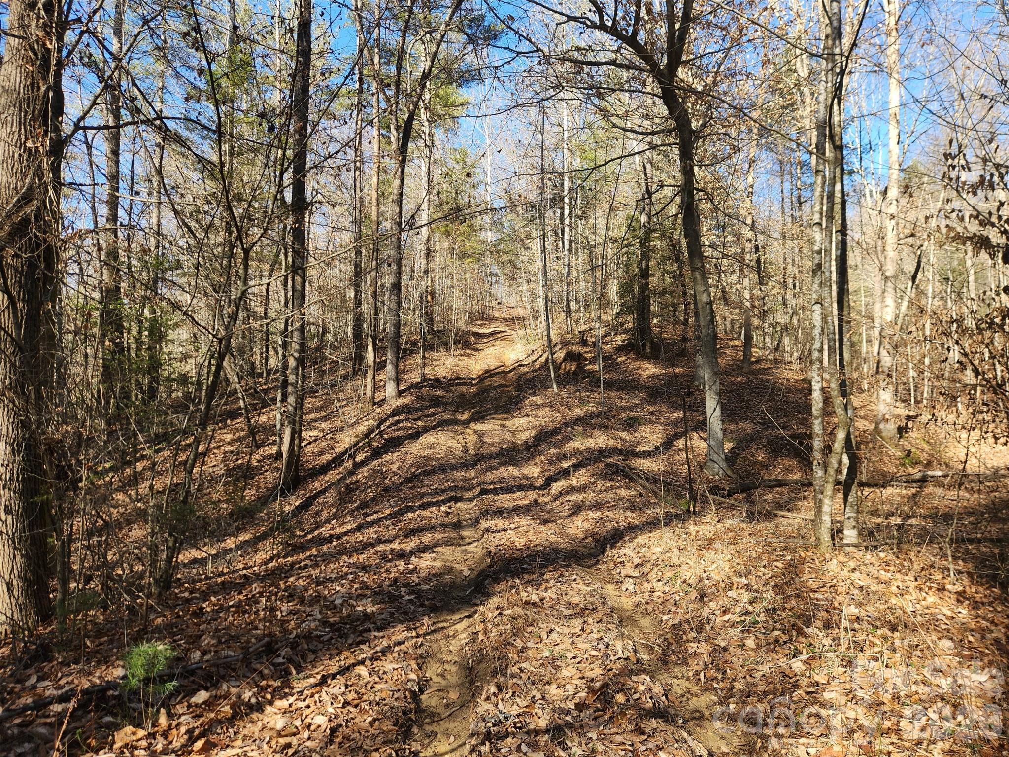 Acreage at 2500 Playmore Beach Road, Lenoir, photo 7 of 38