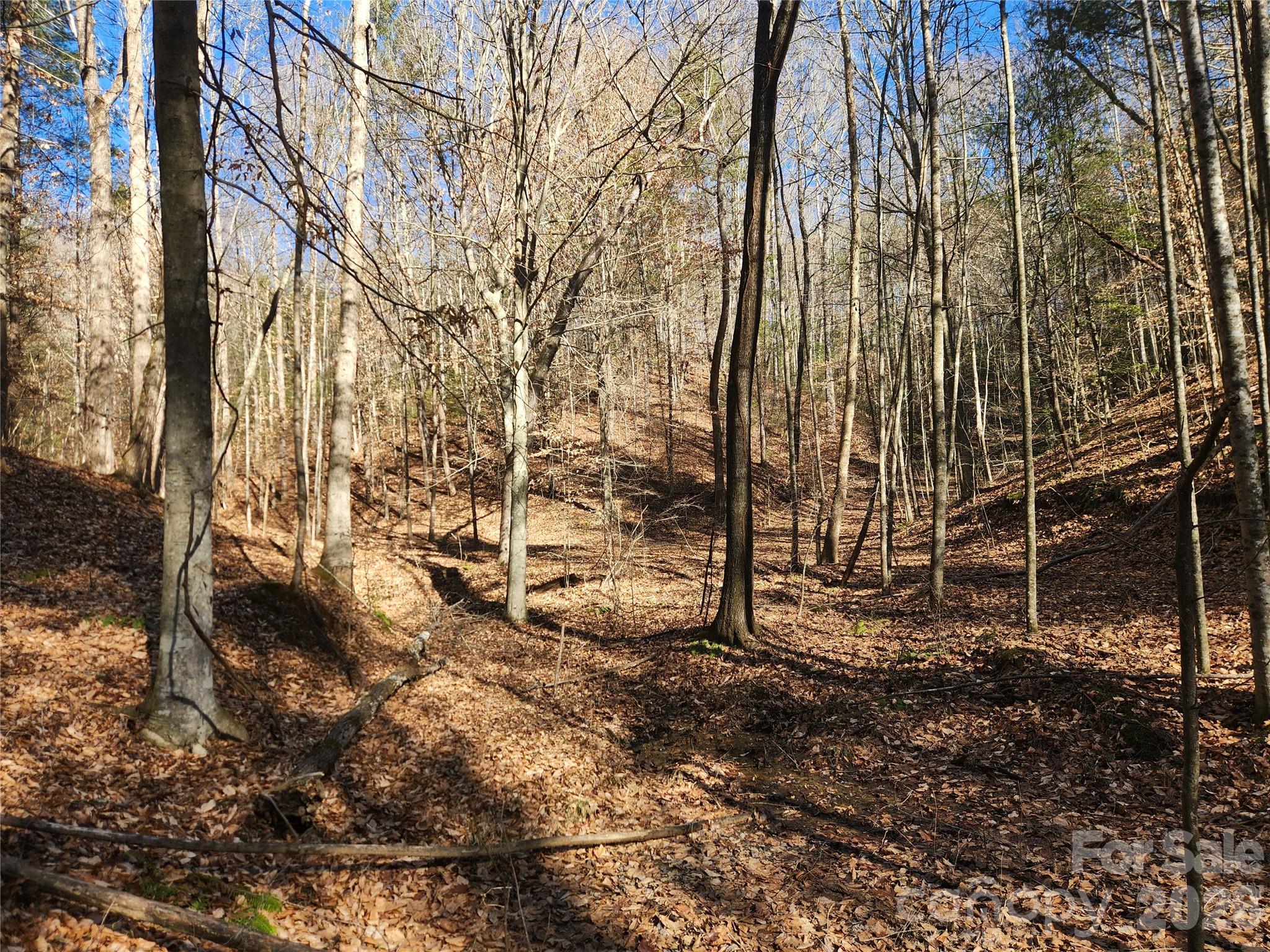 Acreage at 2500 Playmore Beach Road, Lenoir, photo 8 of 38