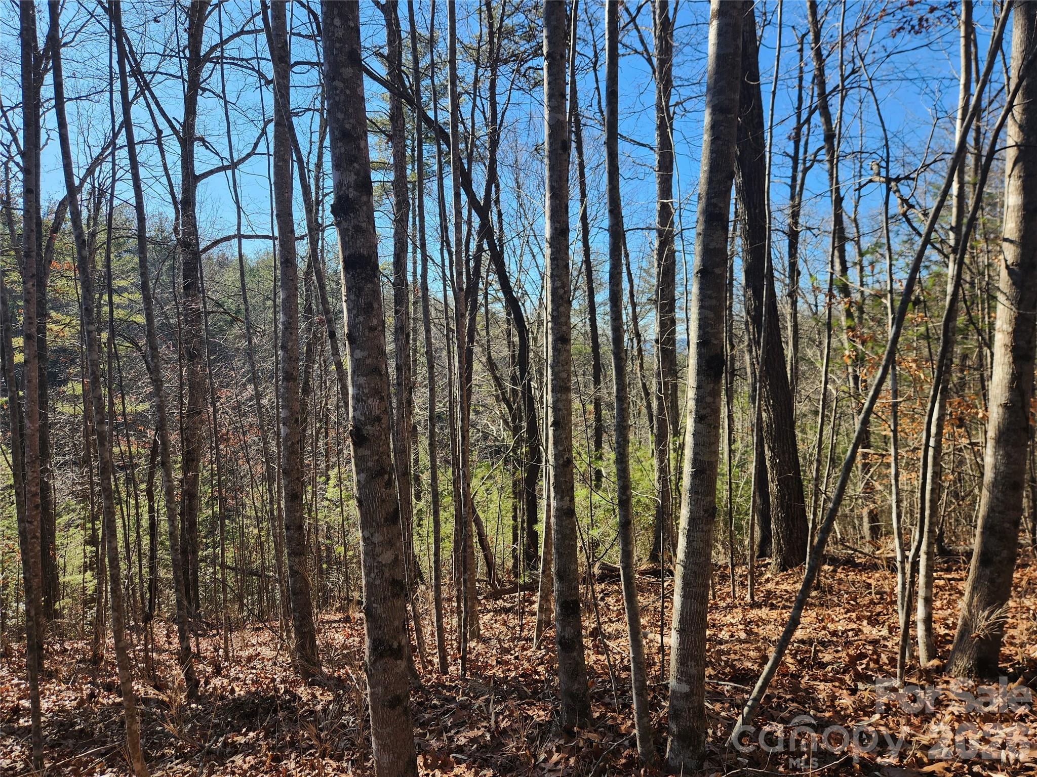 Acreage at 2500 Playmore Beach Road, Lenoir, photo 9 of 38