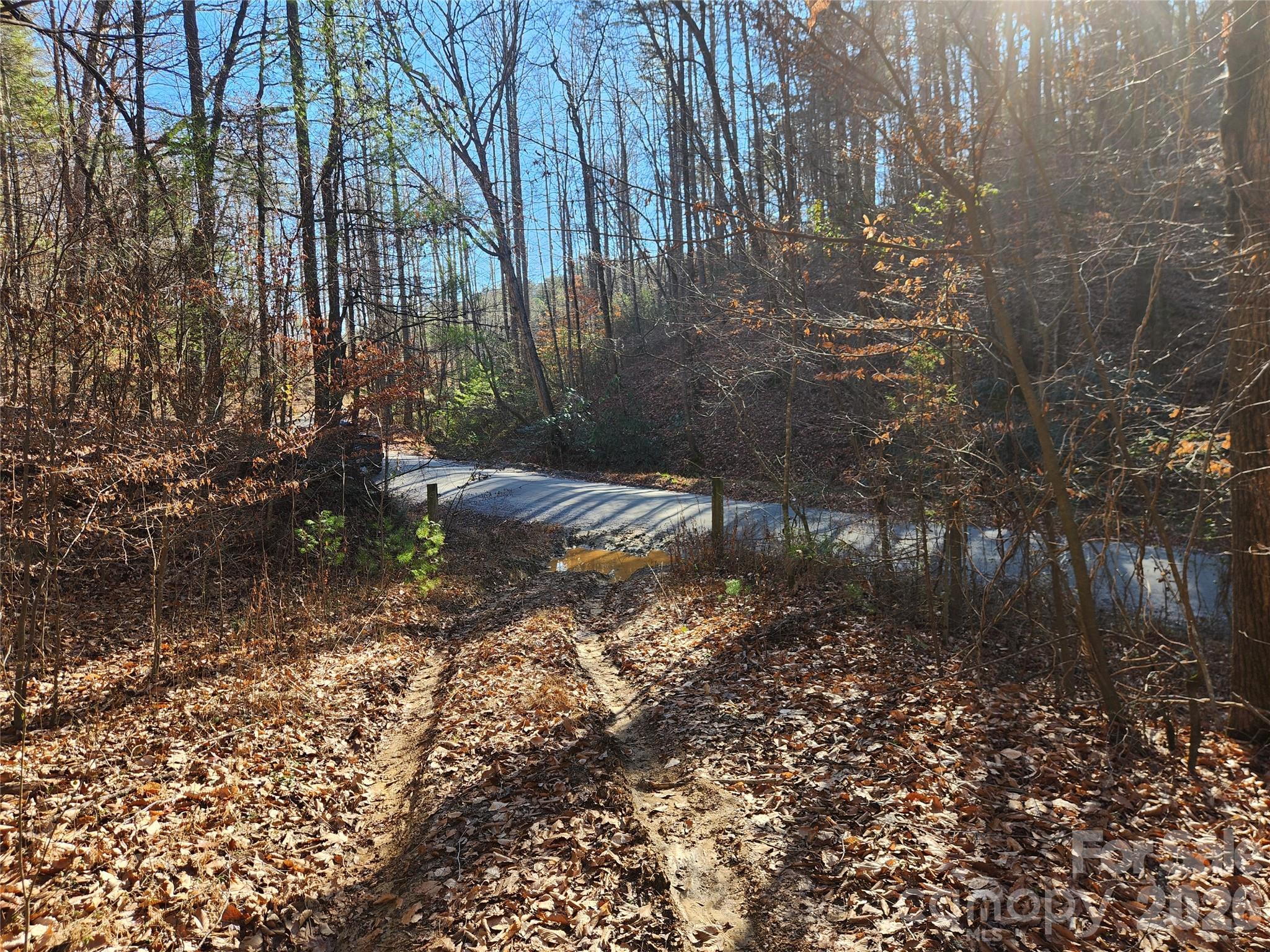 Acreage at 2500 Playmore Beach Road, Lenoir, photo 23 of 38