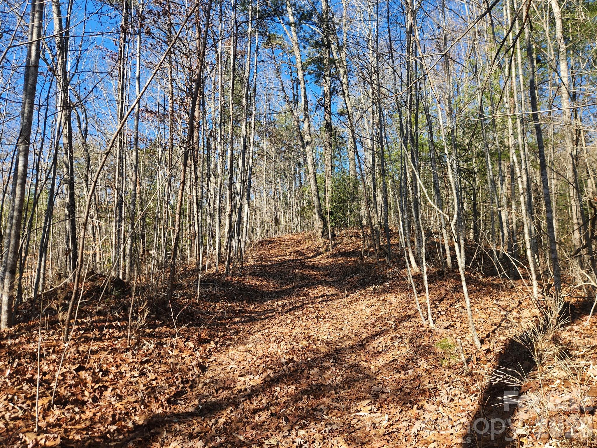 Acreage at 2500 Playmore Beach Road, Lenoir, photo 24 of 38