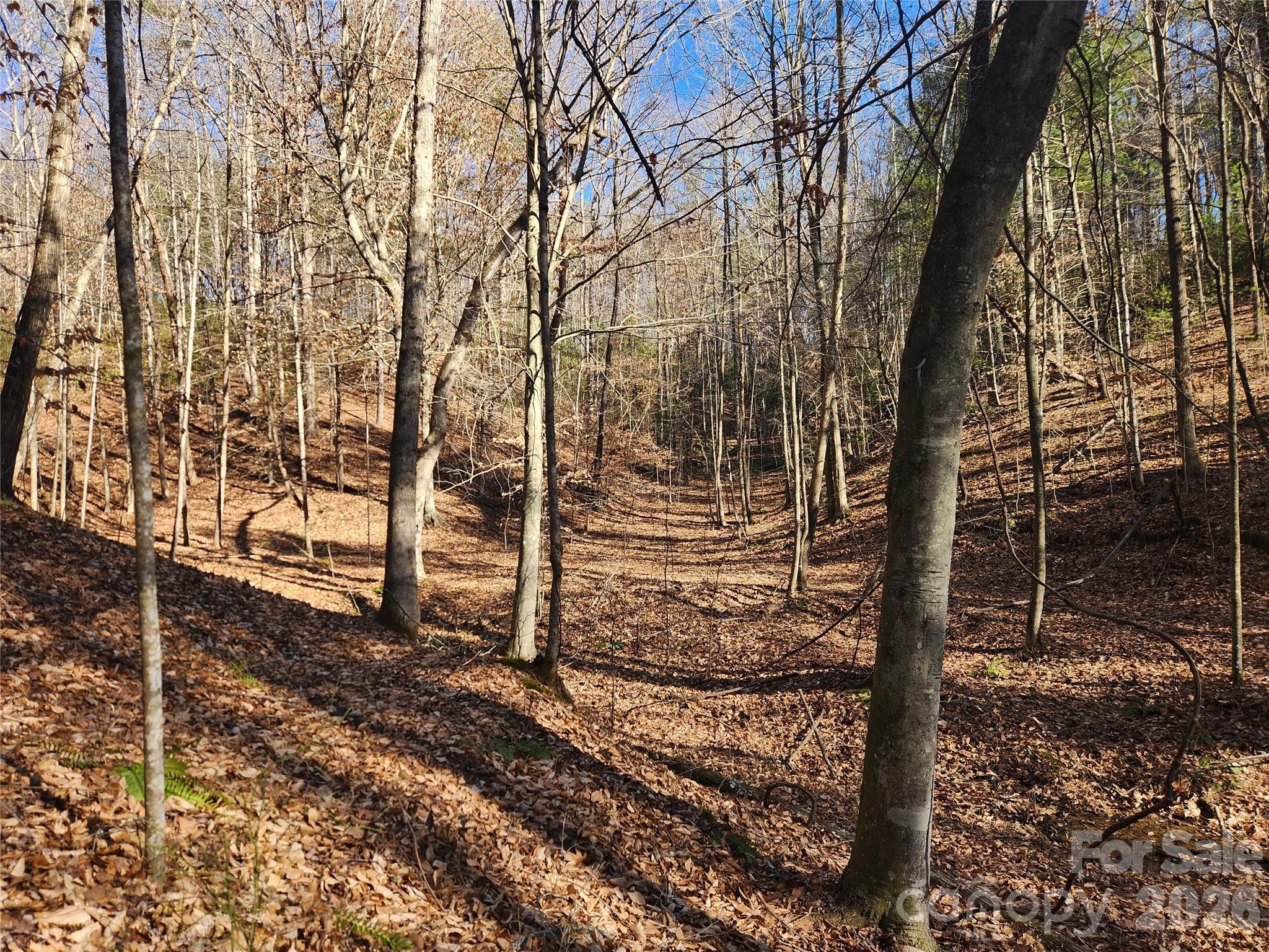 Acreage at 2500 Playmore Beach Road, Lenoir, photo 26 of 38