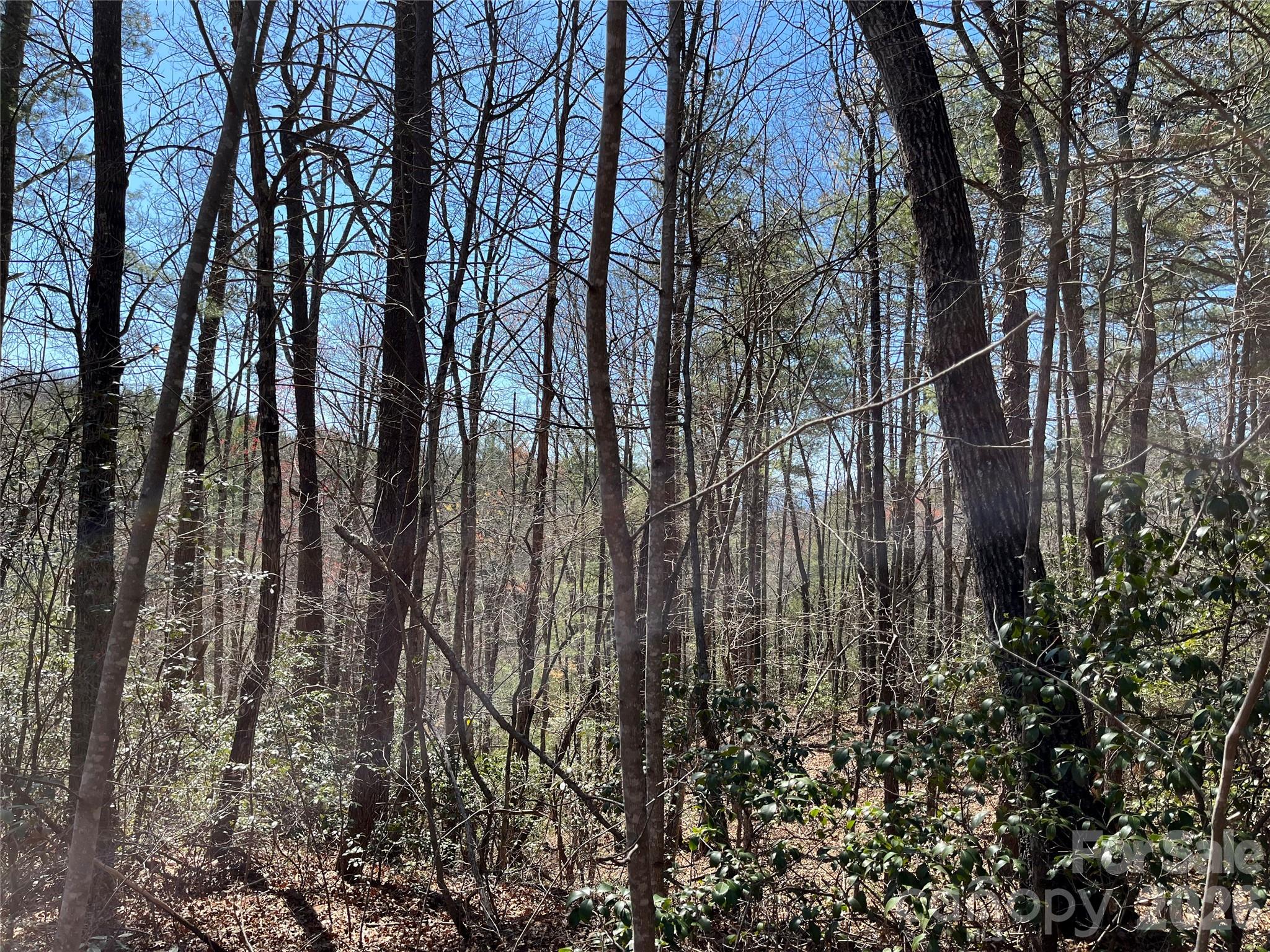 Acreage at 2500 Playmore Beach Road, Lenoir, photo 31 of 38