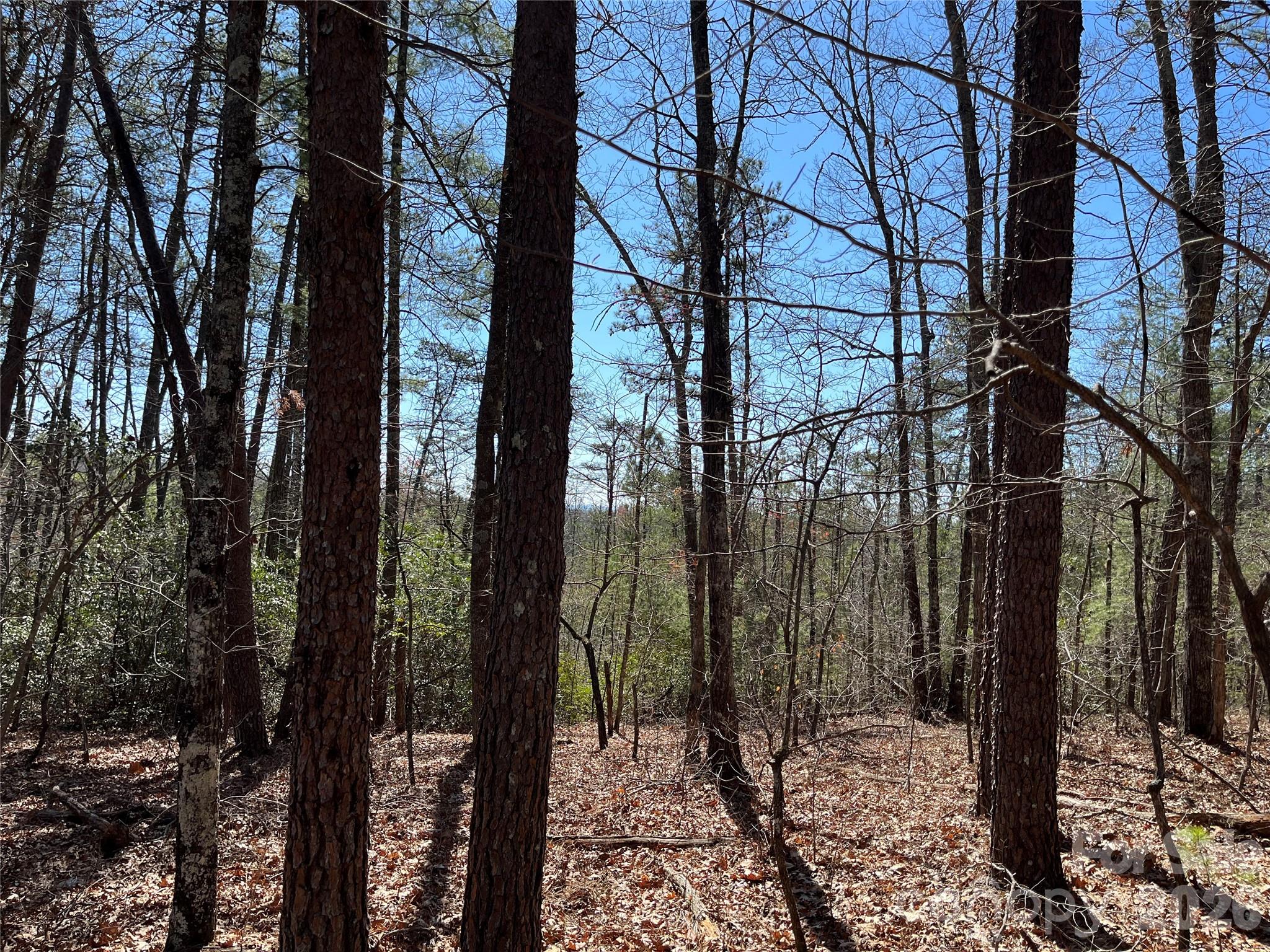 Acreage at 2500 Playmore Beach Road, Lenoir, photo 32 of 38