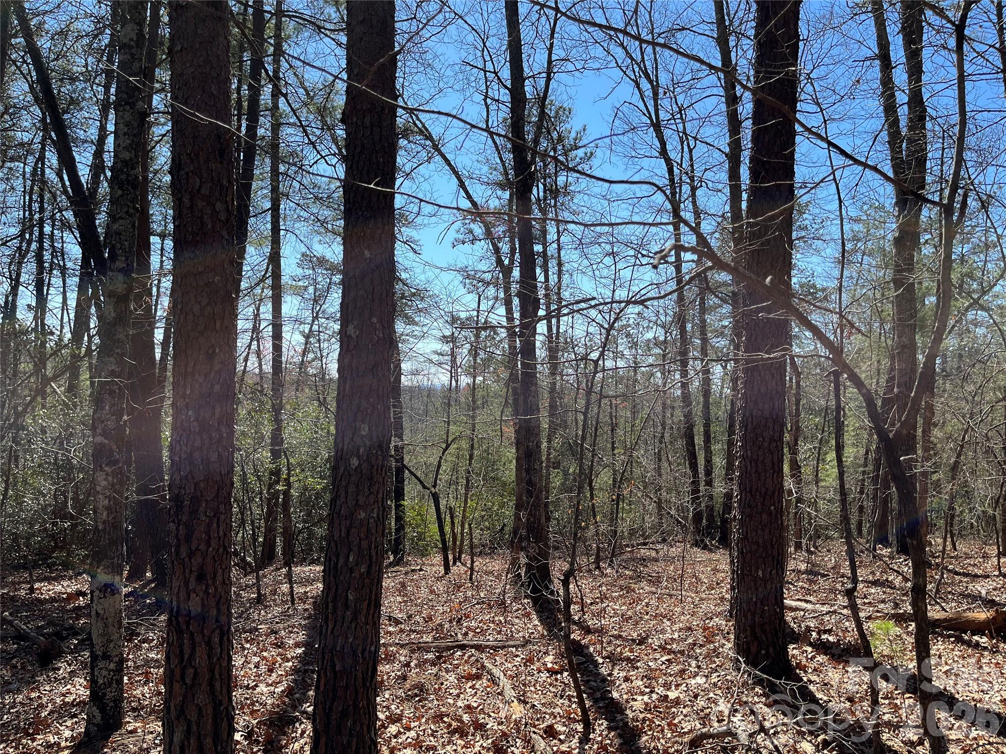 Acreage at 2500 Playmore Beach Road, Lenoir, photo 33 of 38