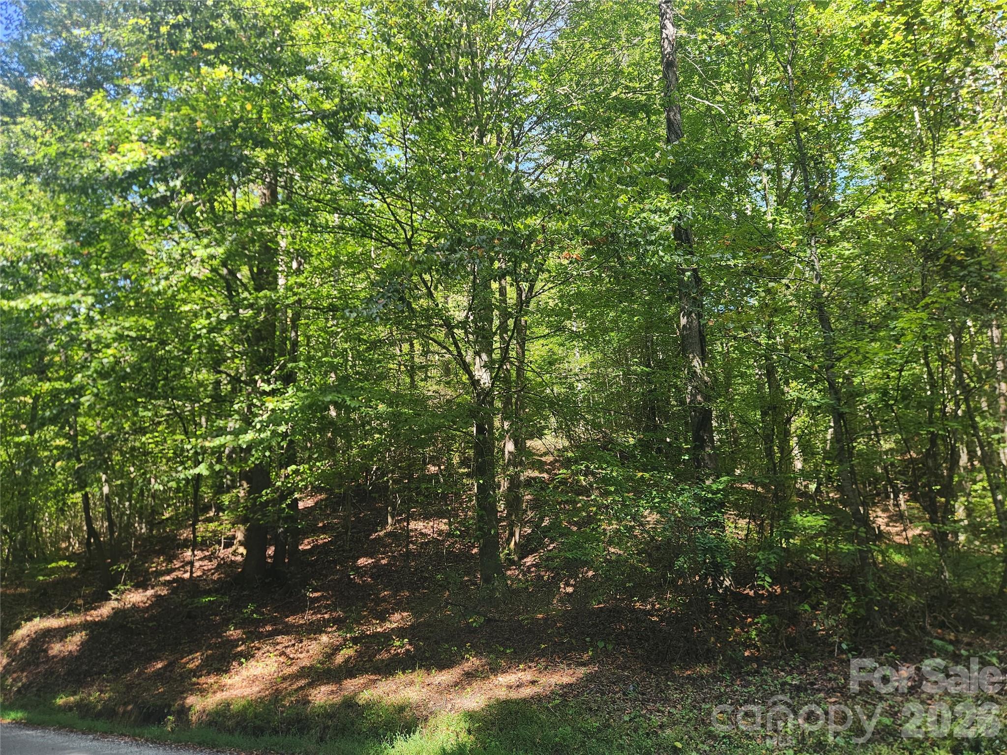 Acreage at 2500 Playmore Beach Road, Lenoir, photo 36 of 38