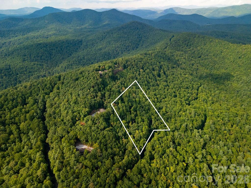 Lot at Lot 51 Waddle Branch Road, Sapphire, photo 2 of 13