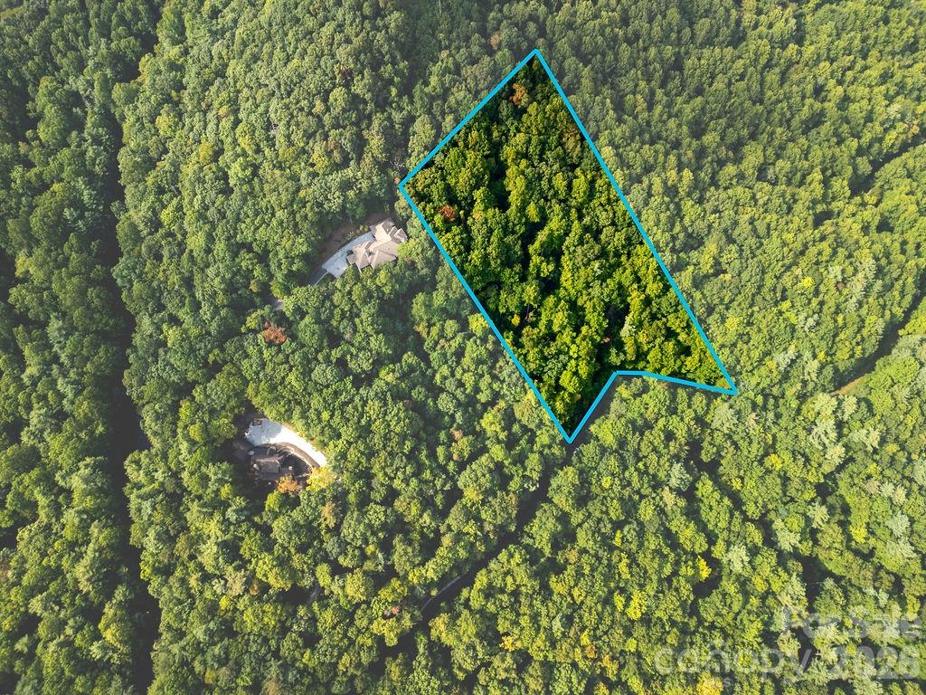 Lot at Lot 51 Waddle Branch Road, Sapphire, photo 4 of 13